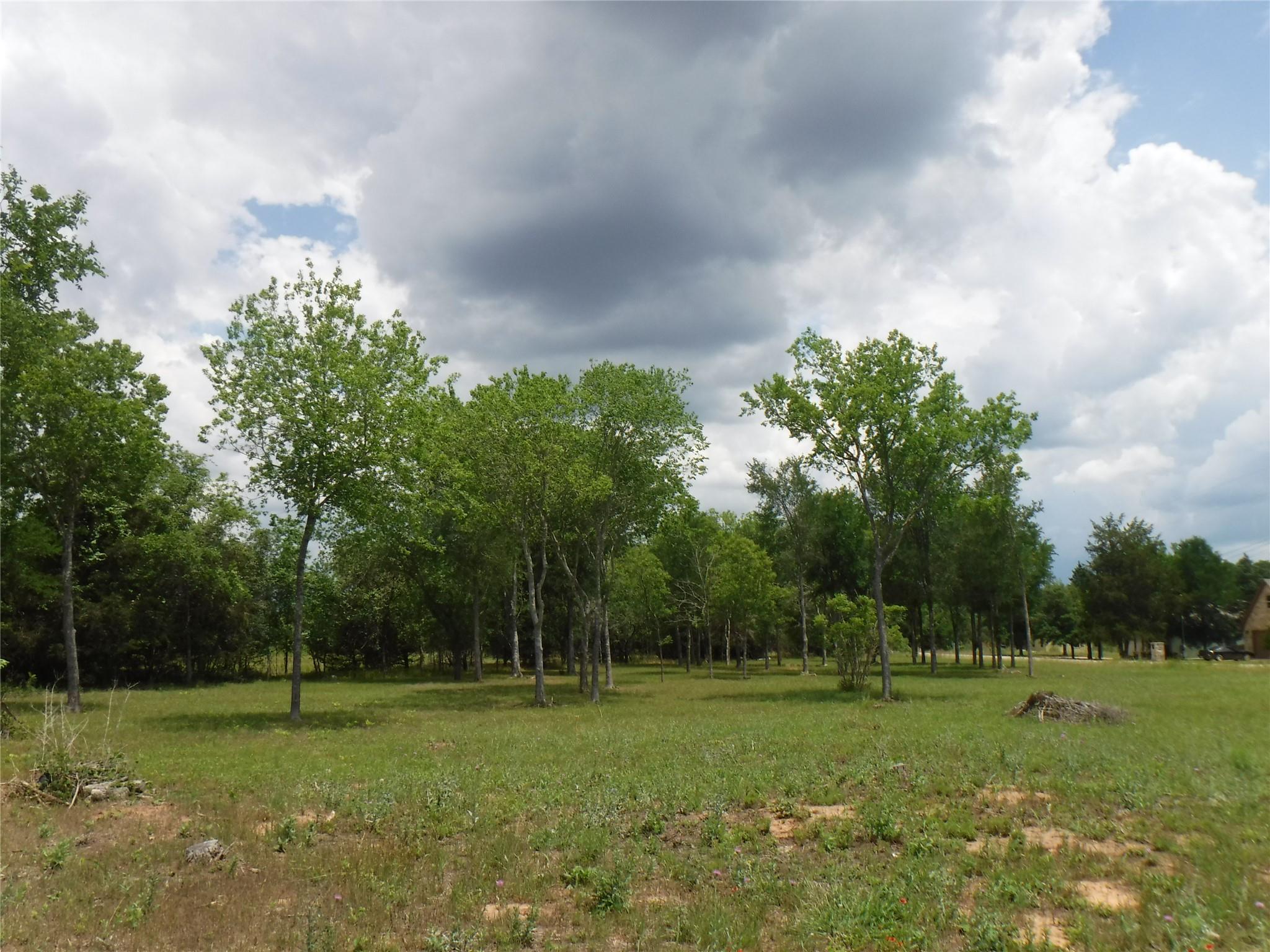 View of local wilderness