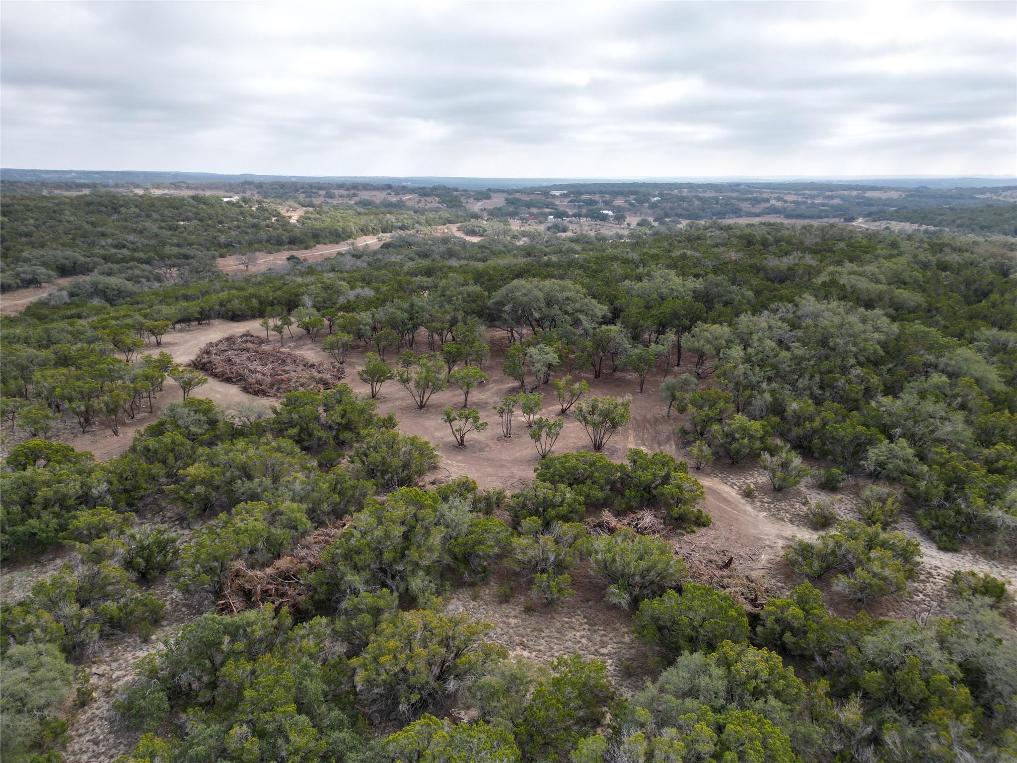 Expansive undeveloped land featuring a dense tree