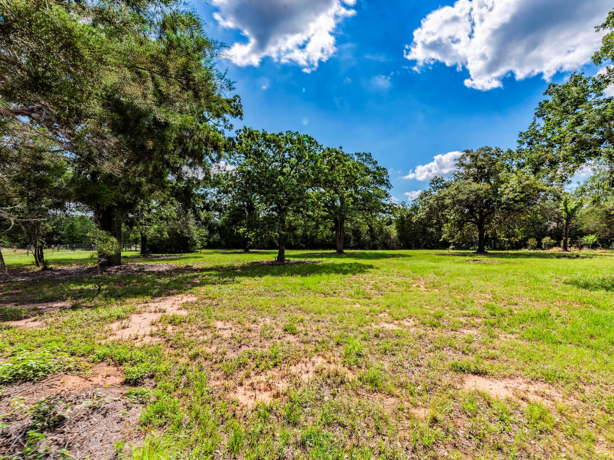 View of grassy yard