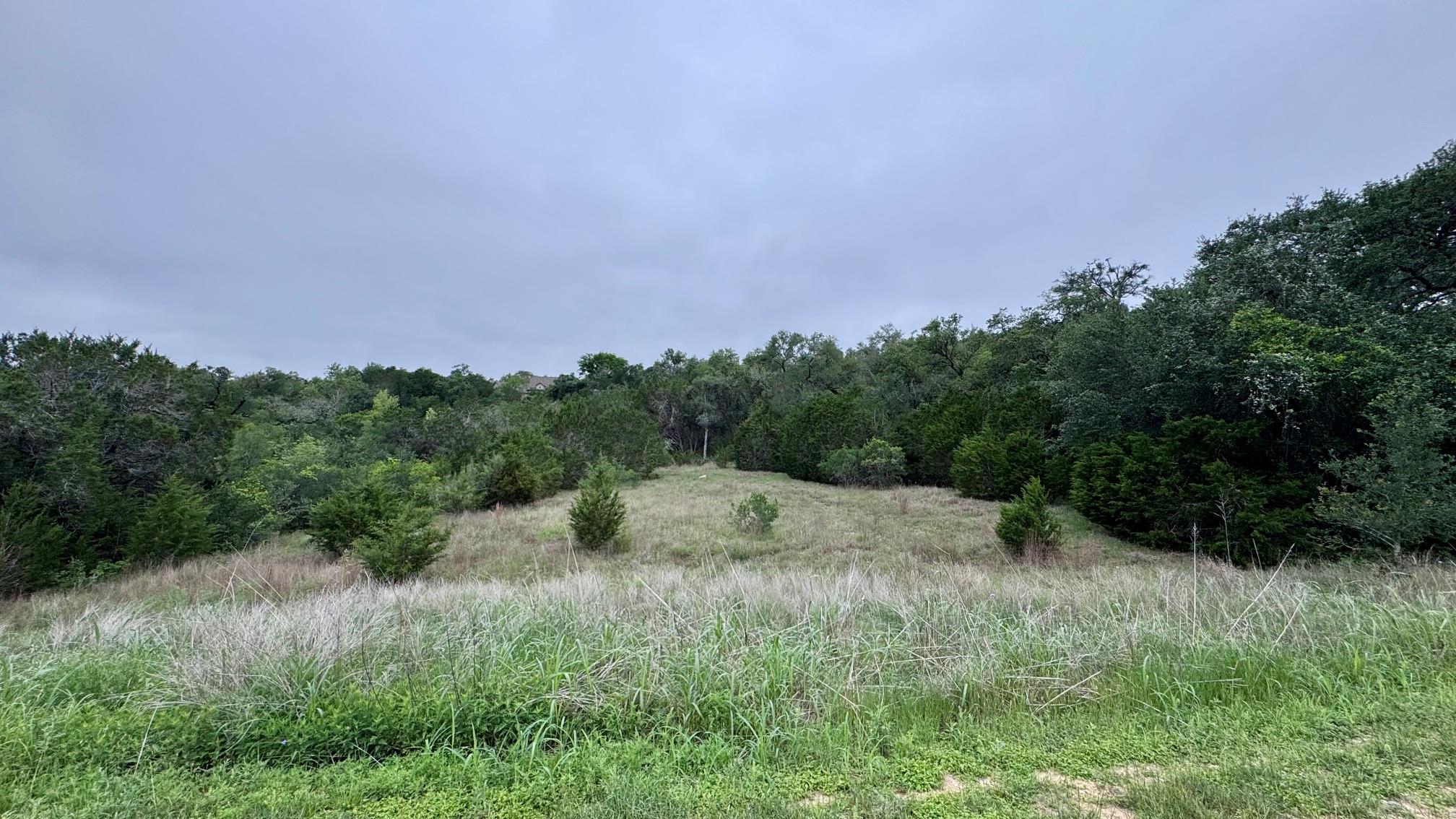 A verdant, undeveloped land parcel offers privacy