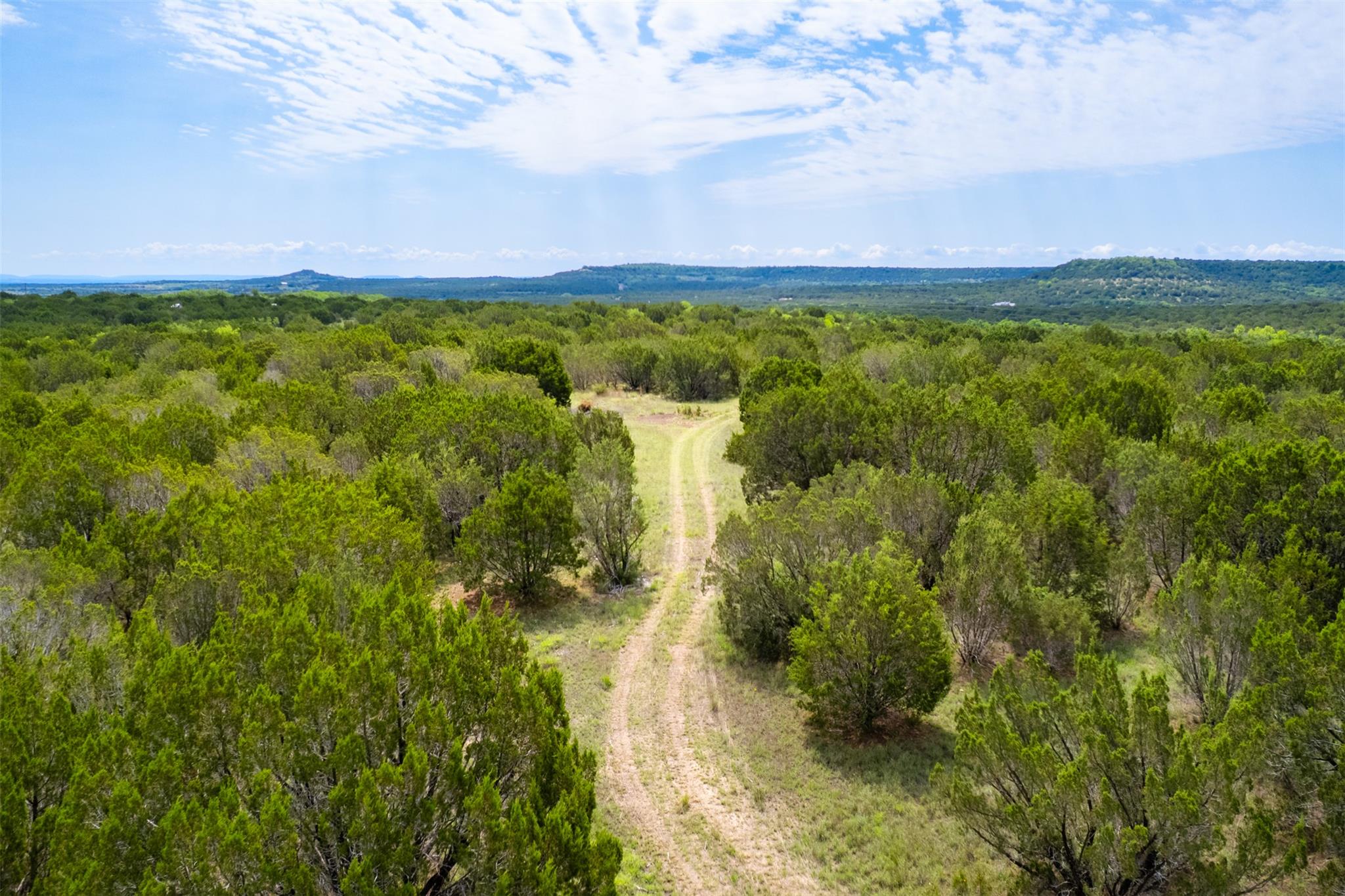 Aerial view of a heavily wooded area