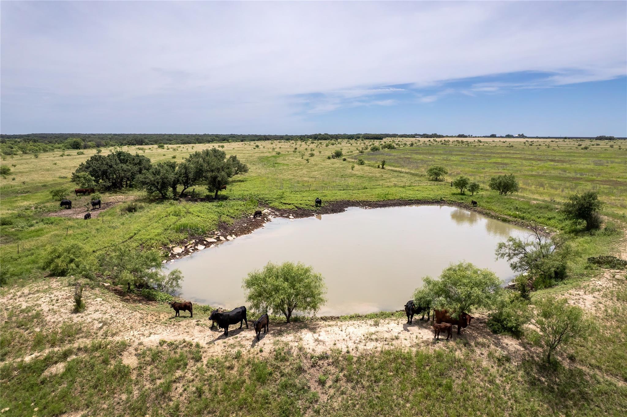 Vast green pastures and a tranquil pond offer a p