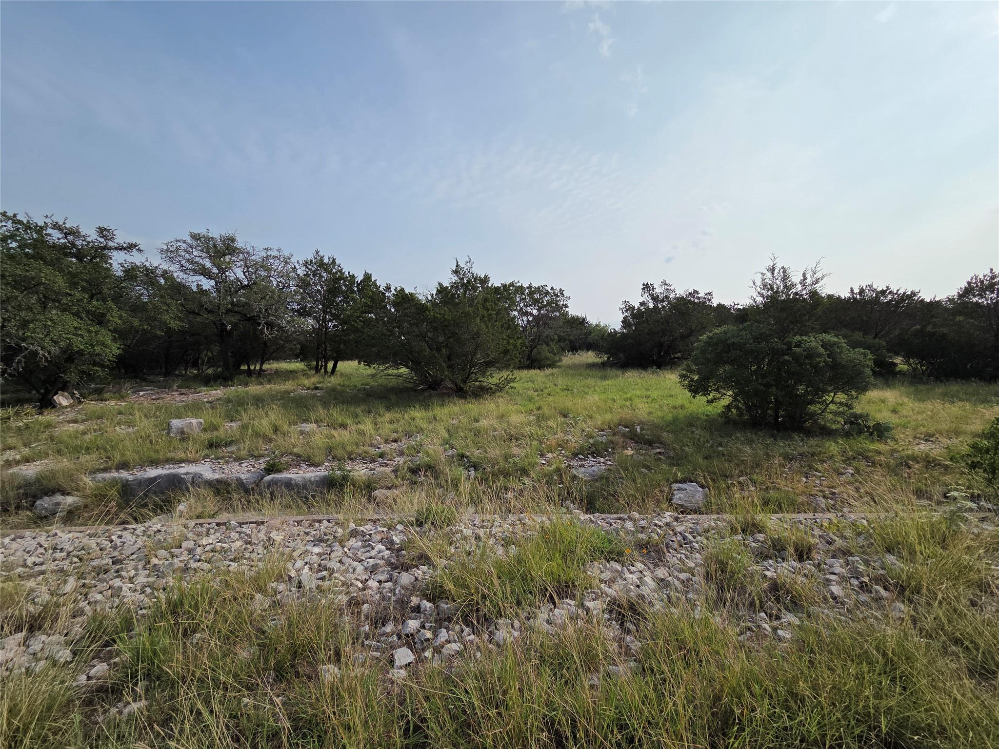 View of undeveloped land