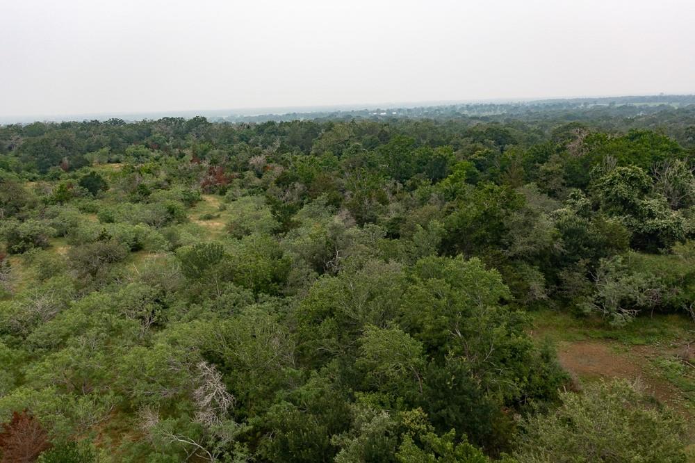 Listing photo 1 of LOT 2  Private Road 4601 None