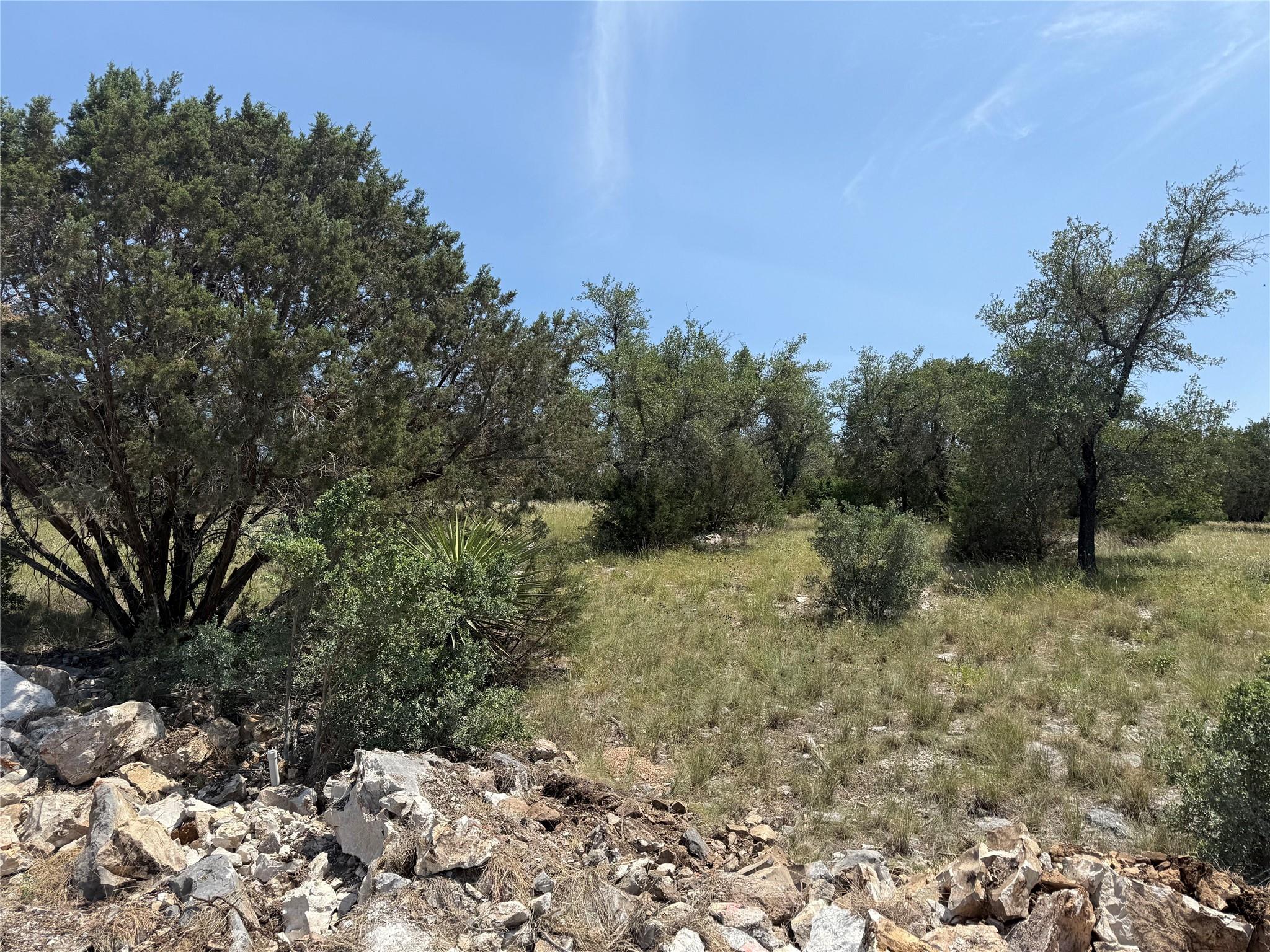 View of nature