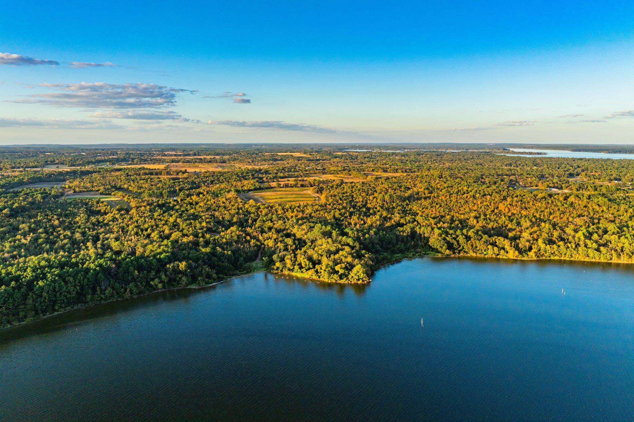 Bird's eye view of a heavily wooded area and a ne
