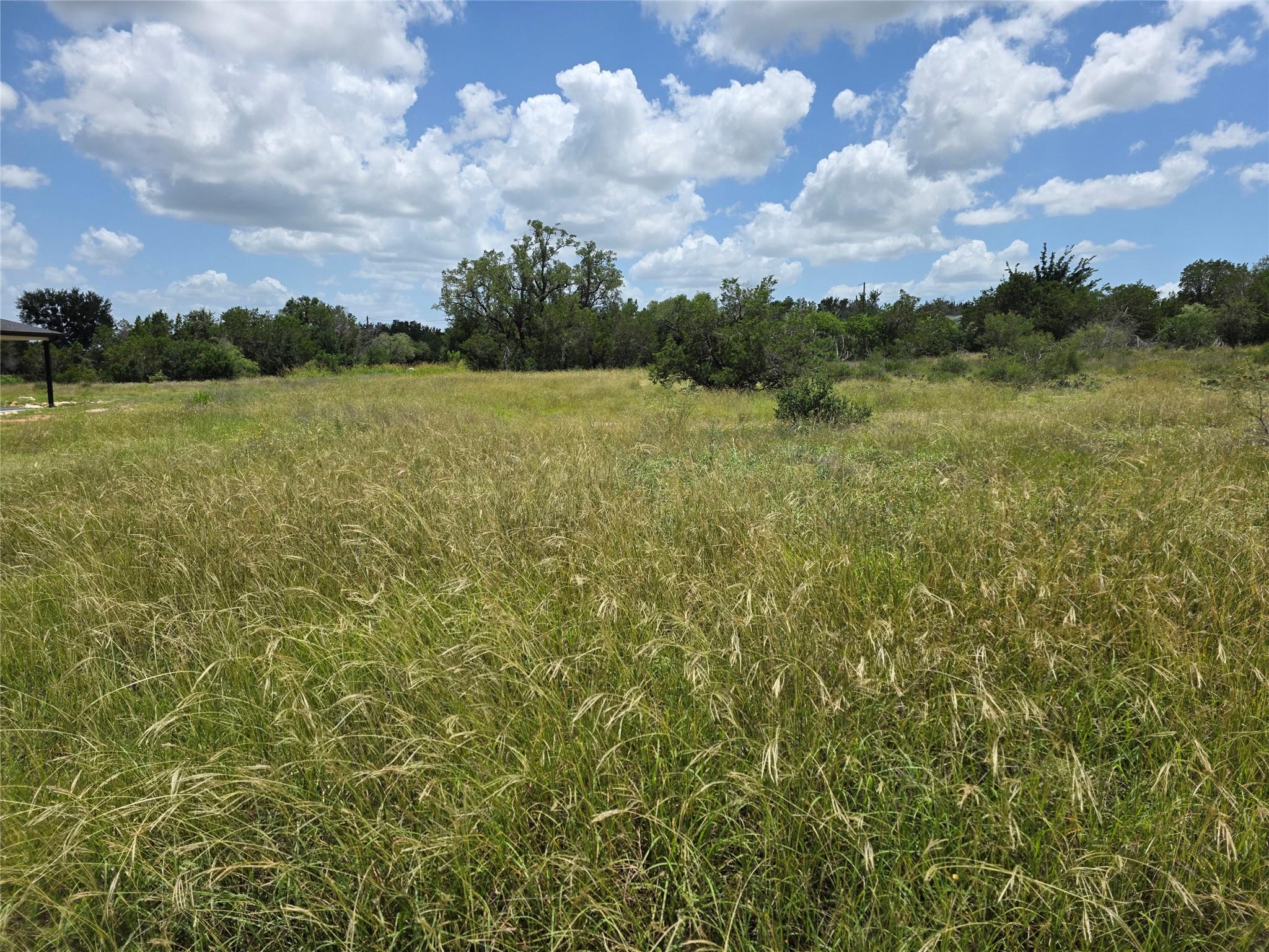 Listing photo 1 of 241  Spicewood Trails Dr