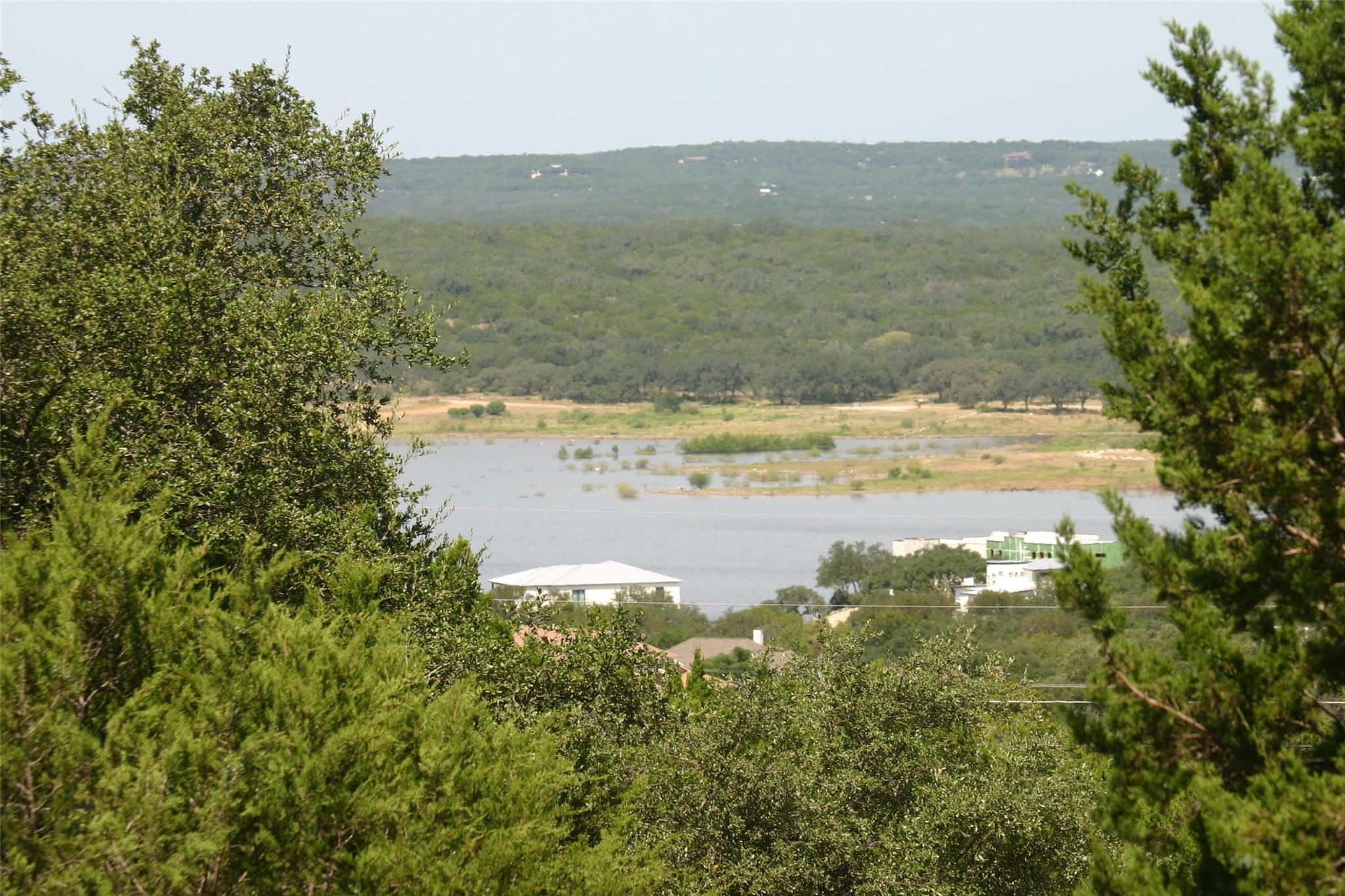View of mountain background with a heavily wooded