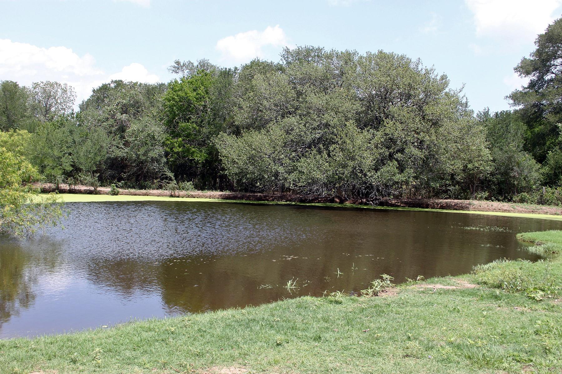 Water view featuring a heavily wooded area