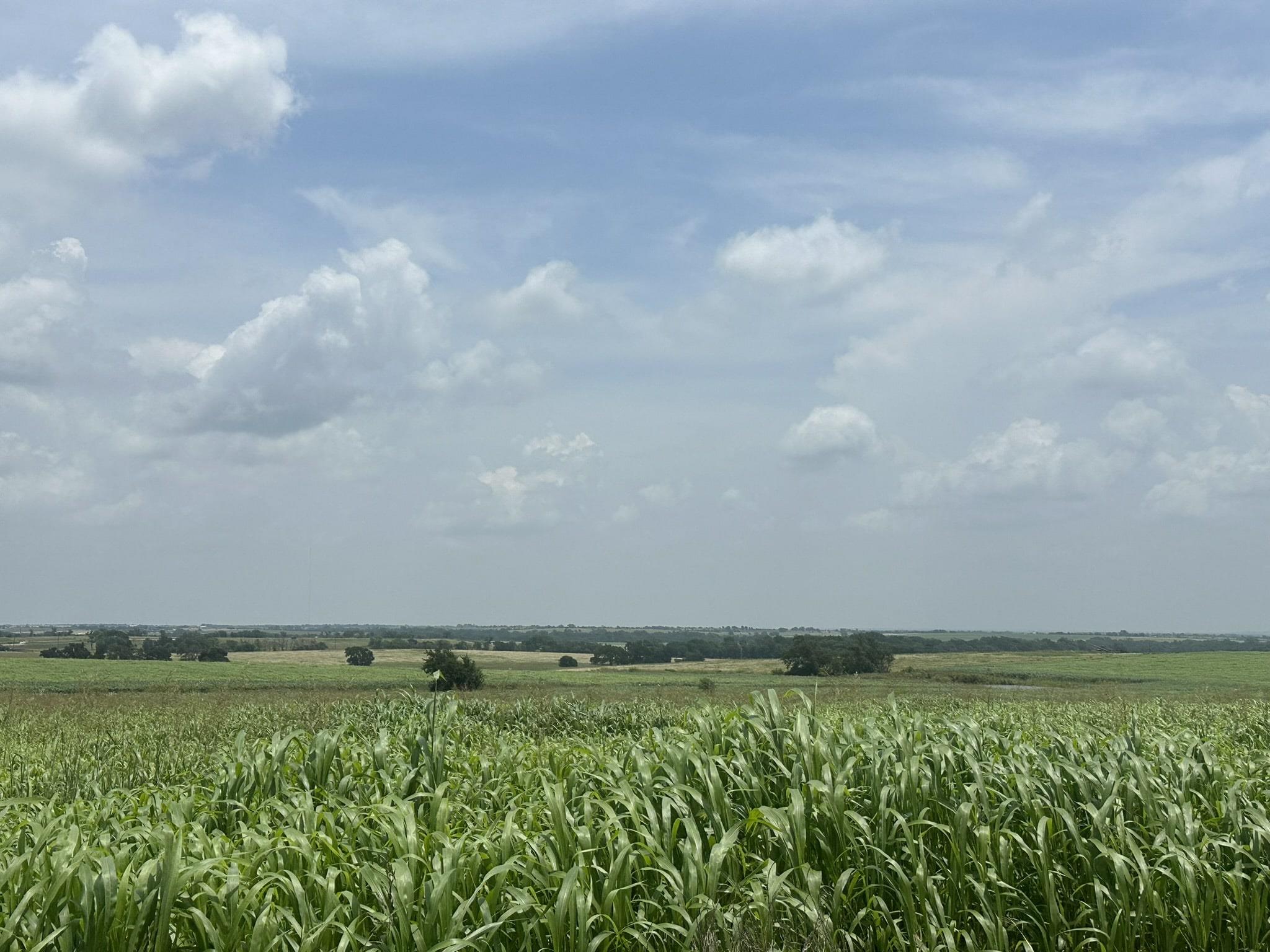 View of undeveloped land featuring rural landscap