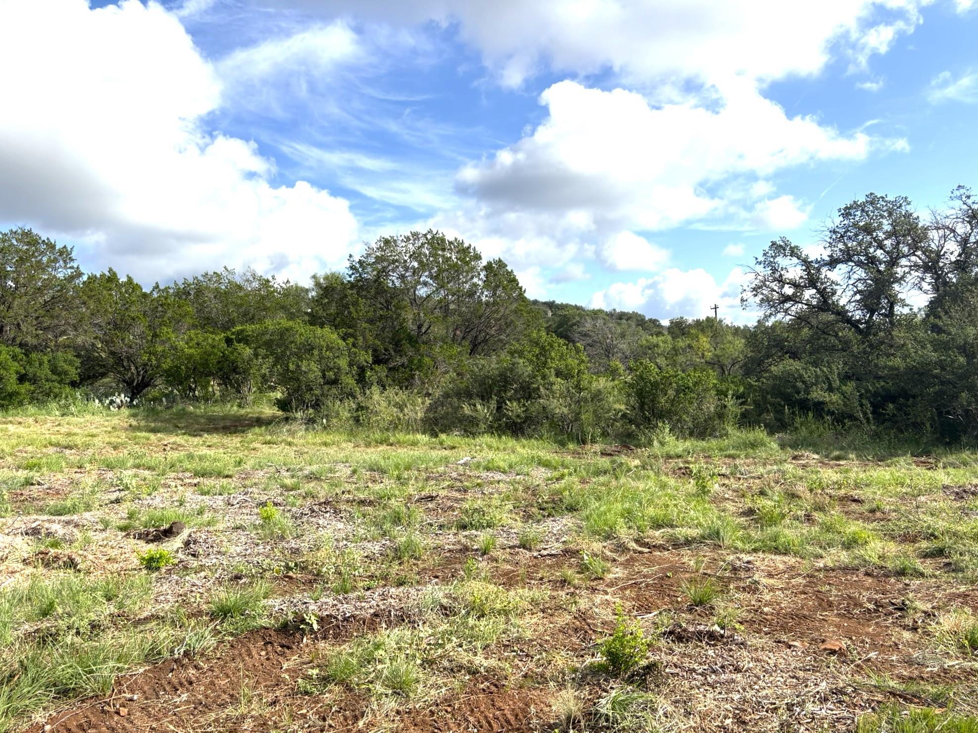 View of wooded area