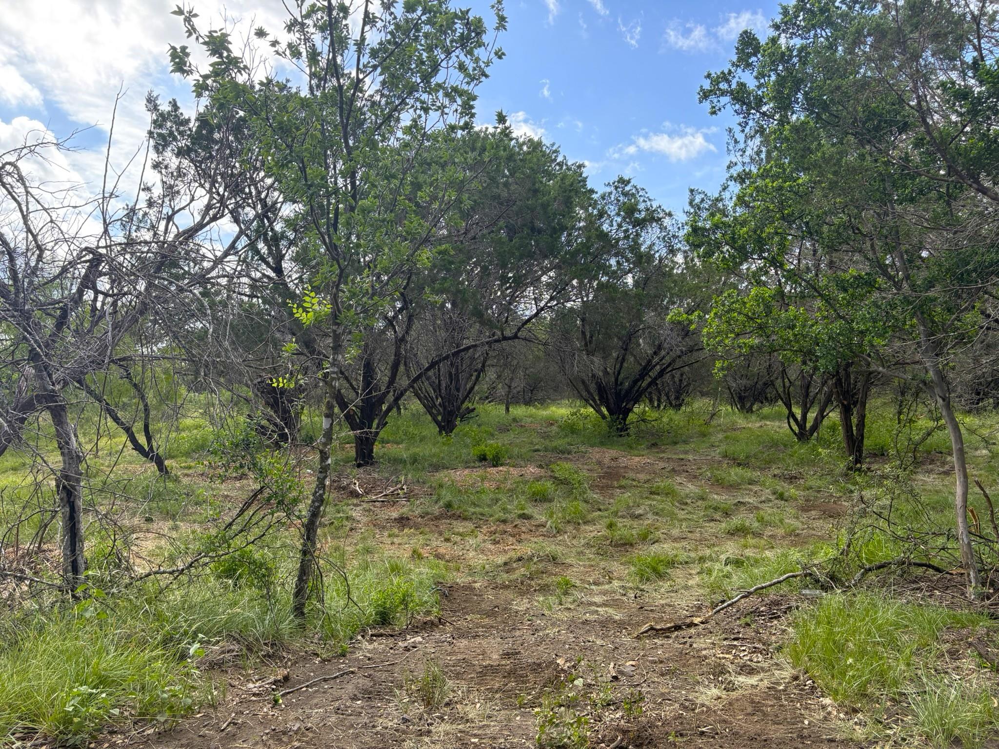 View of local wilderness