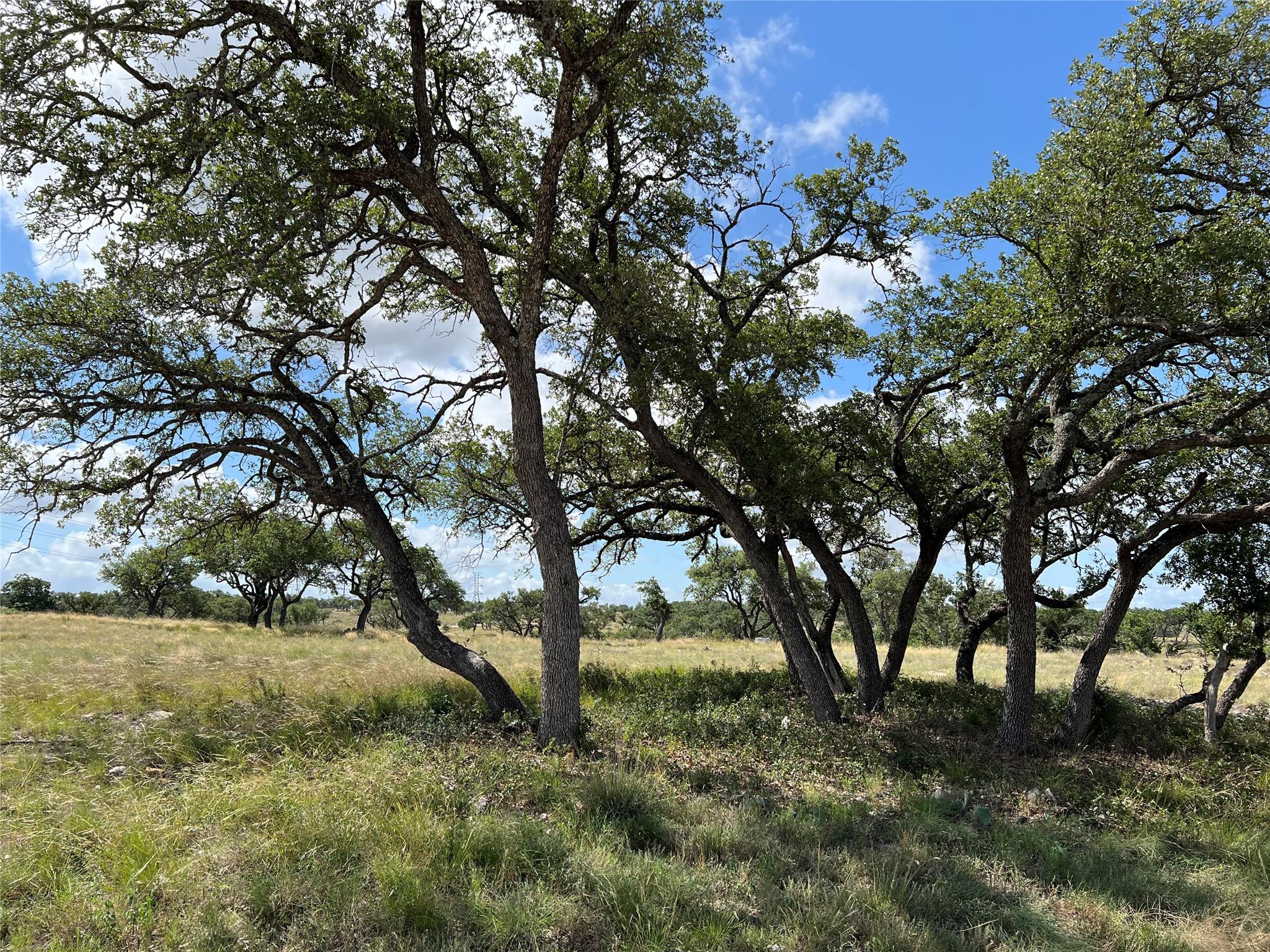 Listing photo 1 of Lot 80  Seven Springs Rnch