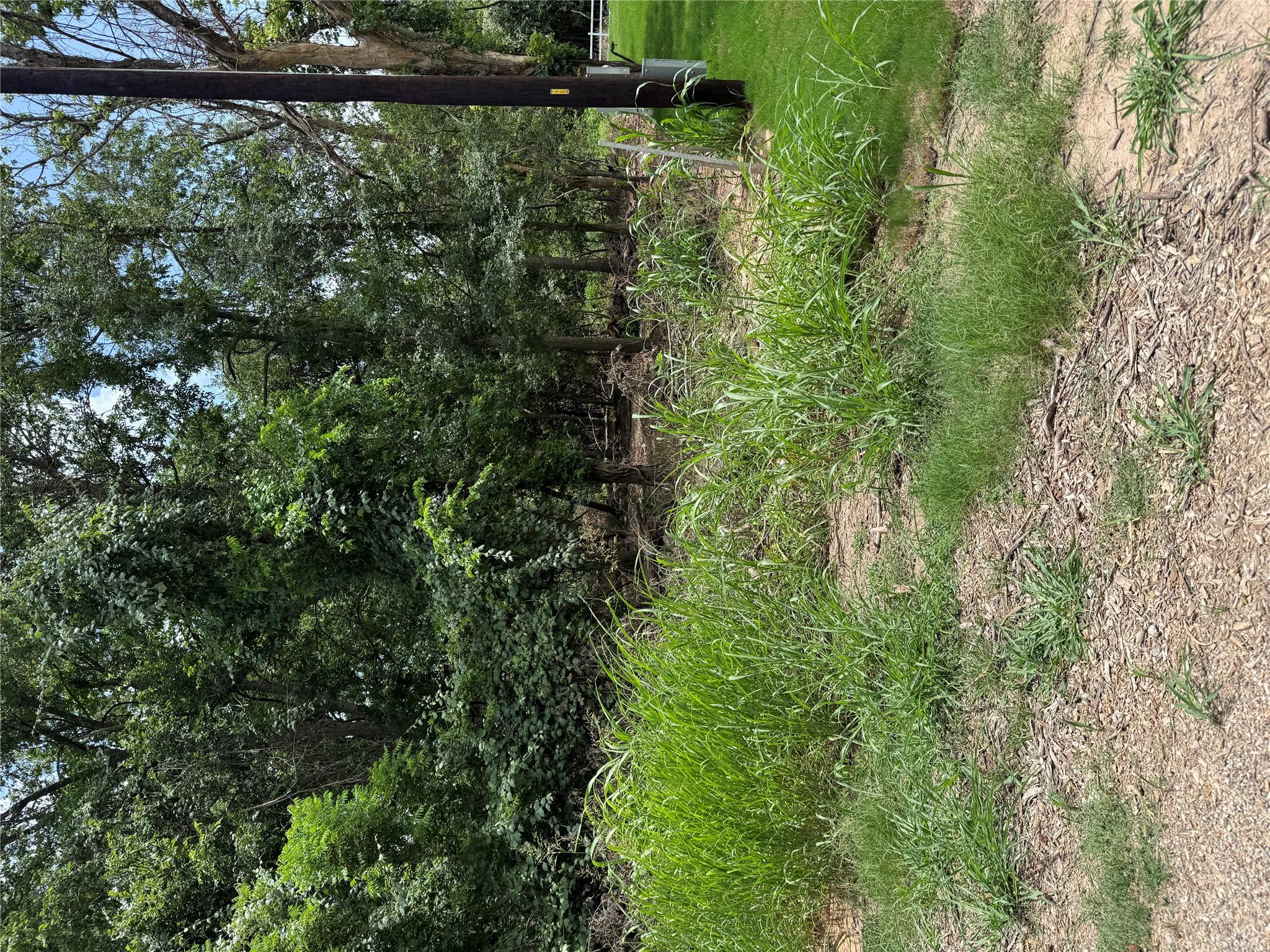 View of undeveloped land