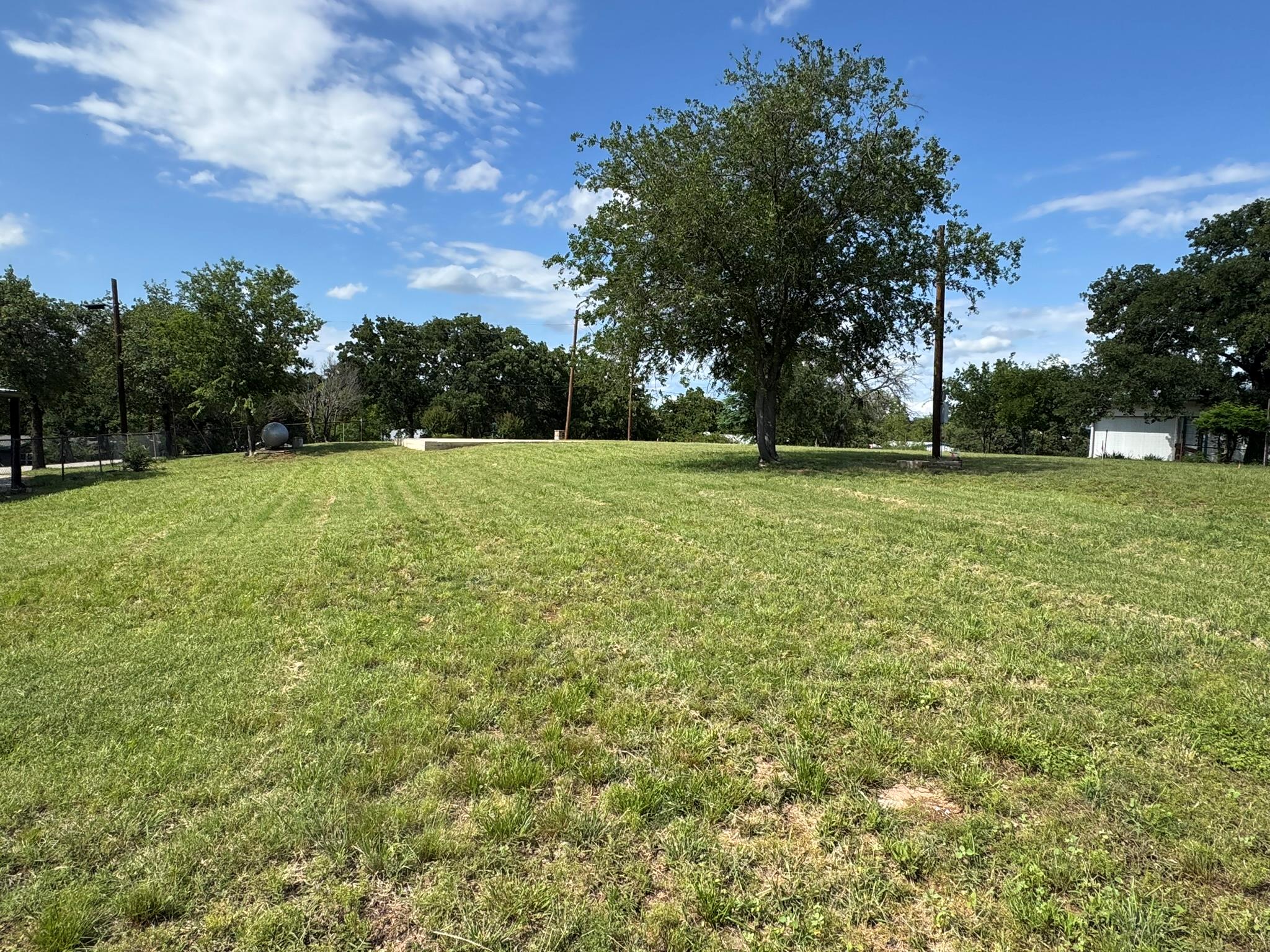 View of green lawn