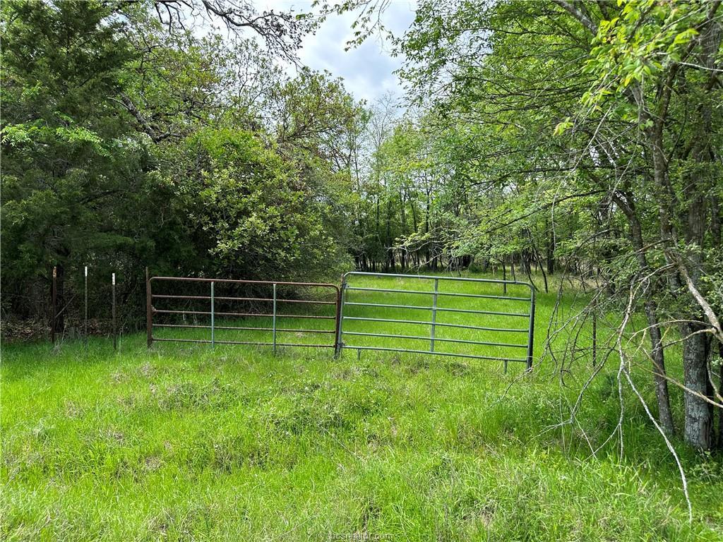View of yard with a gate