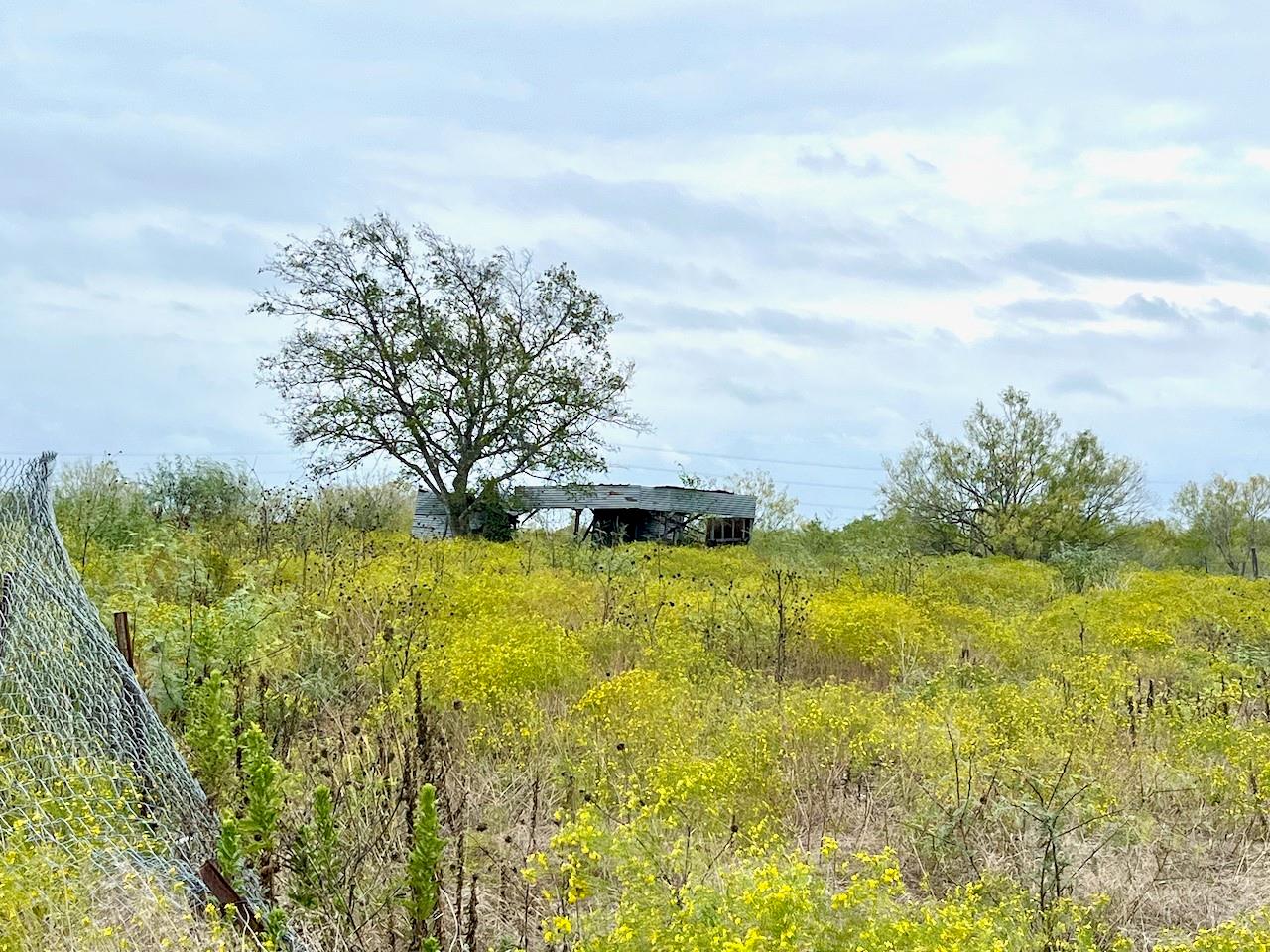 Listing photo 1 of 11604  Moore Rd