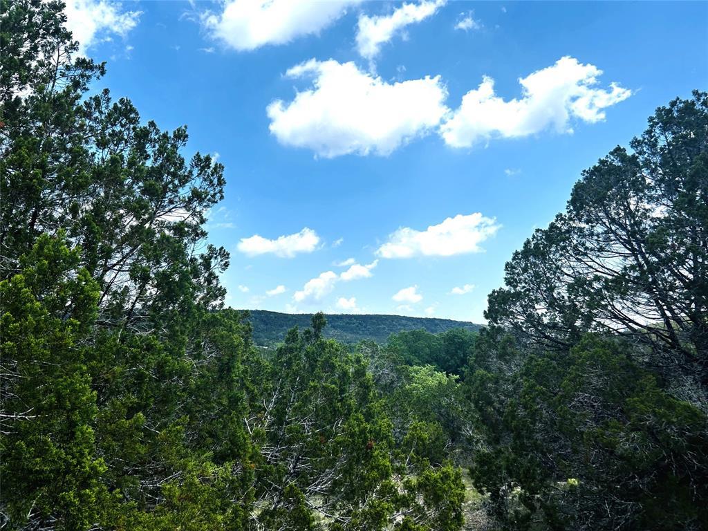 View of mountain backdrop with a heavily wooded a