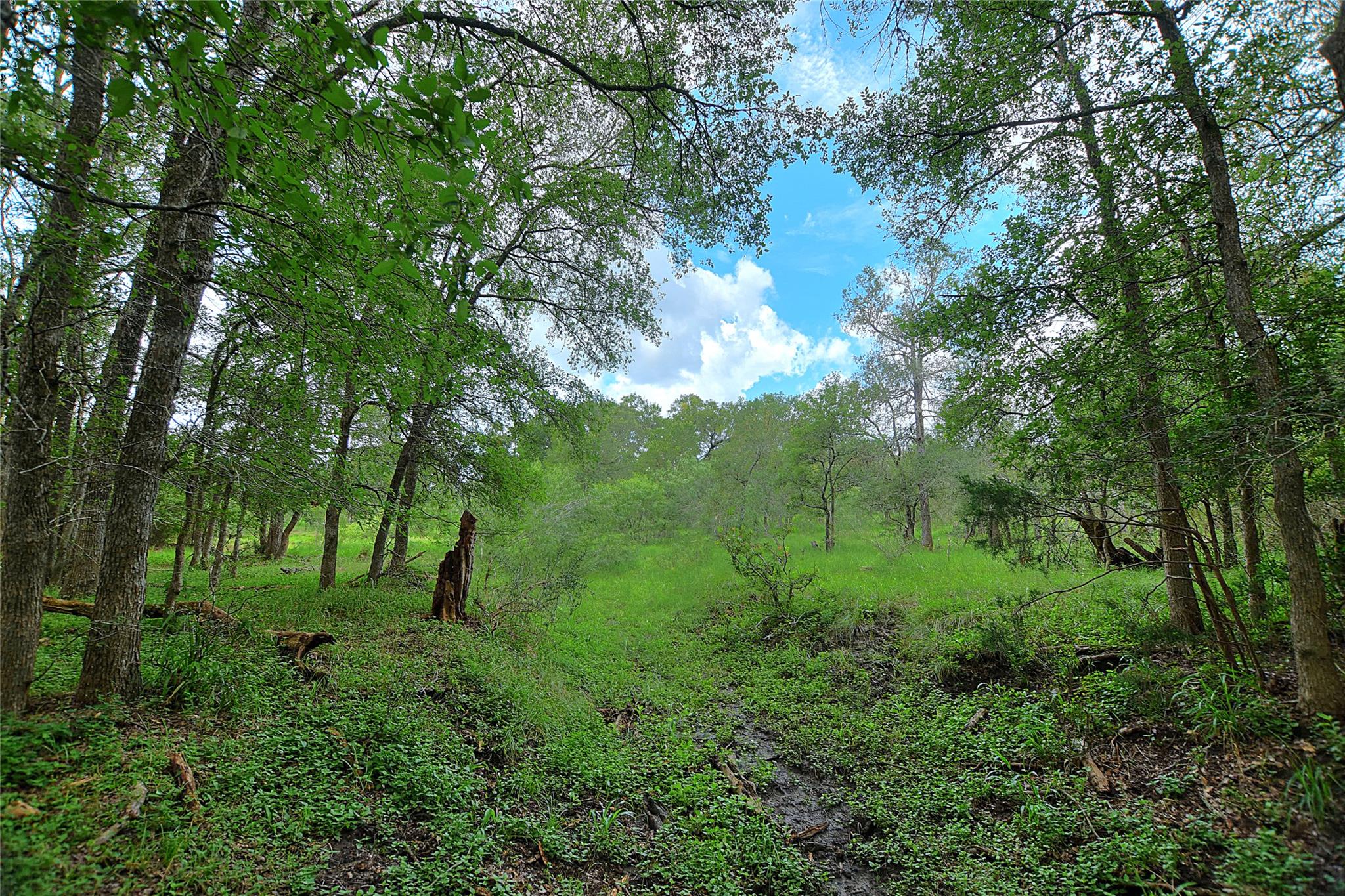 Listing photo 1 of TBD E Whitworth Ln E