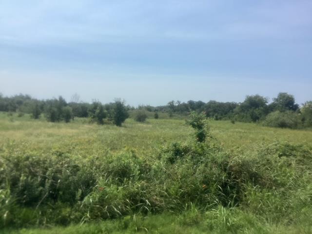 View of undeveloped land with rural landscape