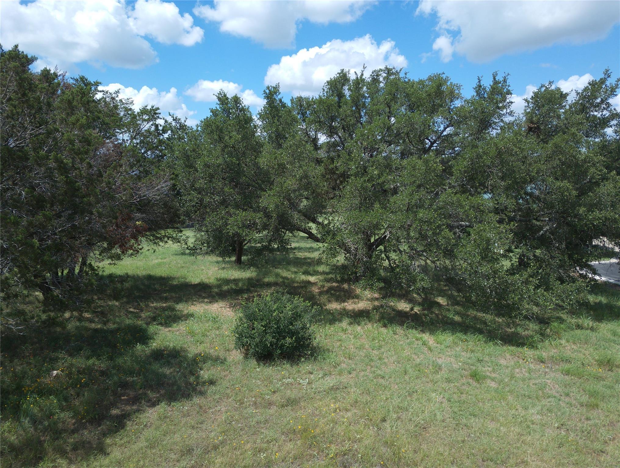 View of local wilderness