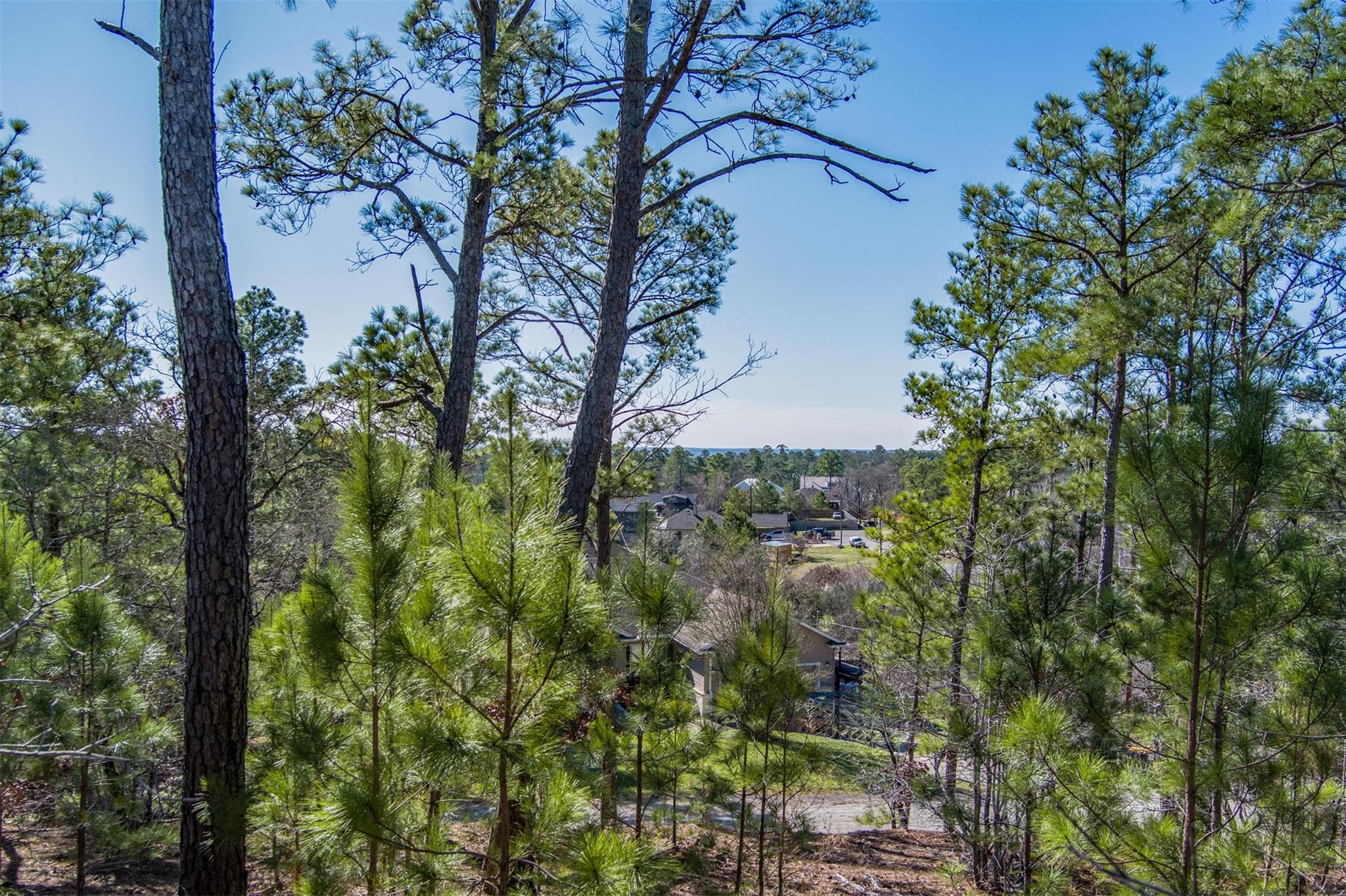 View of undeveloped land