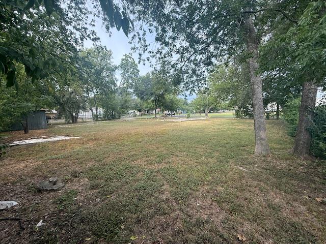 View of grassy yard