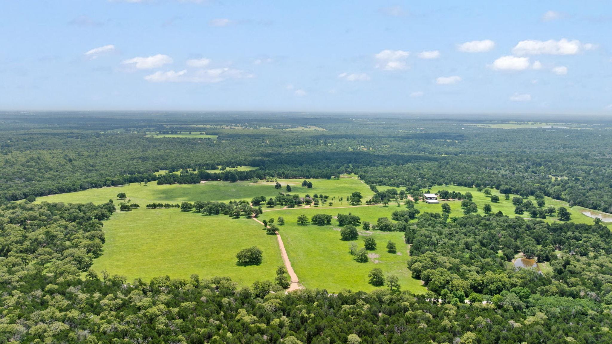 Drone / aerial view of a heavily wooded area