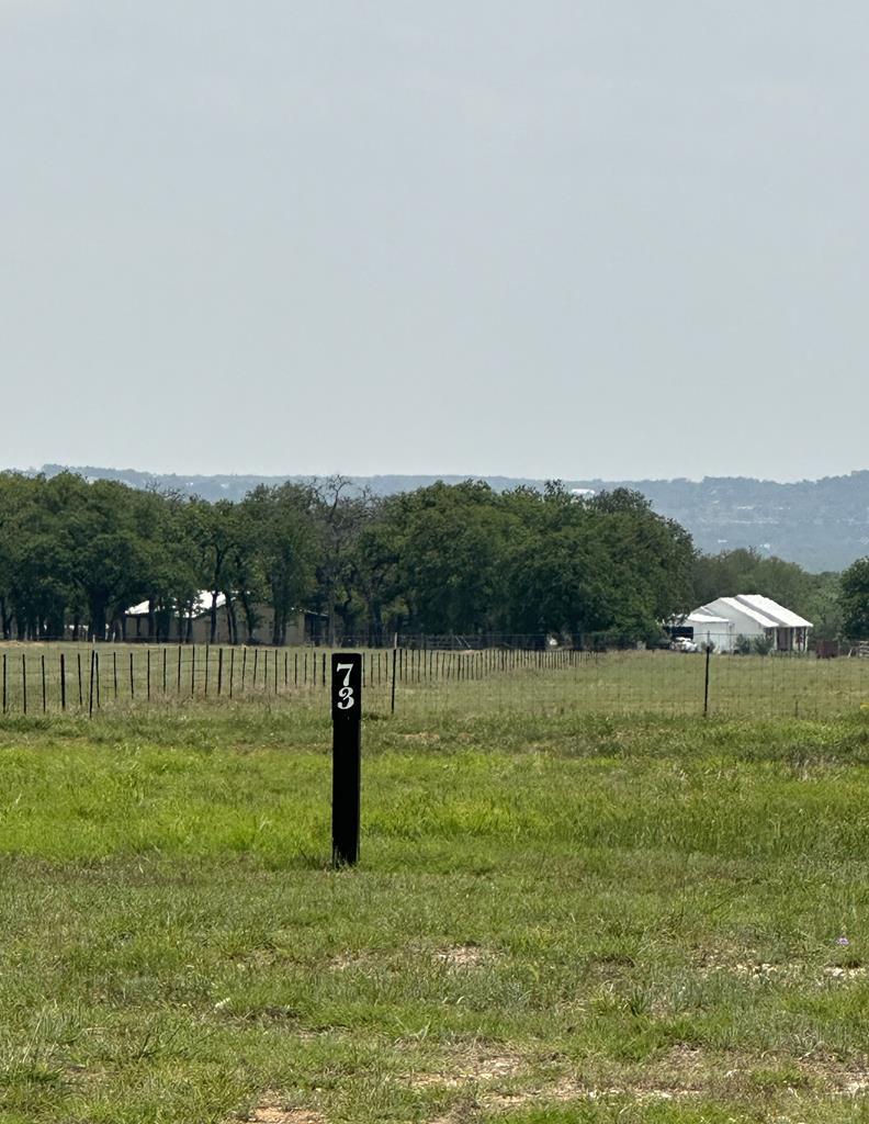 View of yard with a view of rural / pastoral area