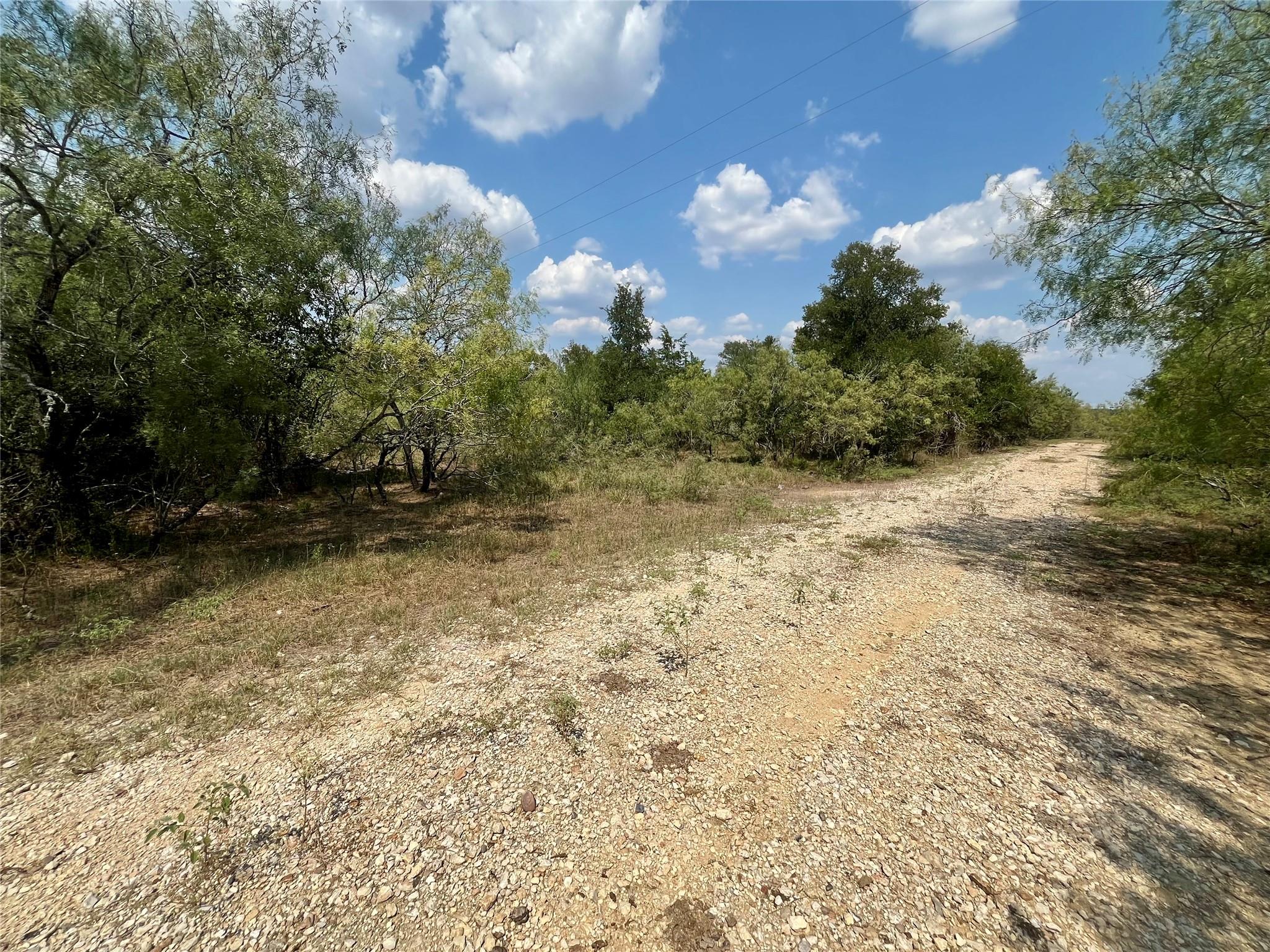 View of undeveloped land