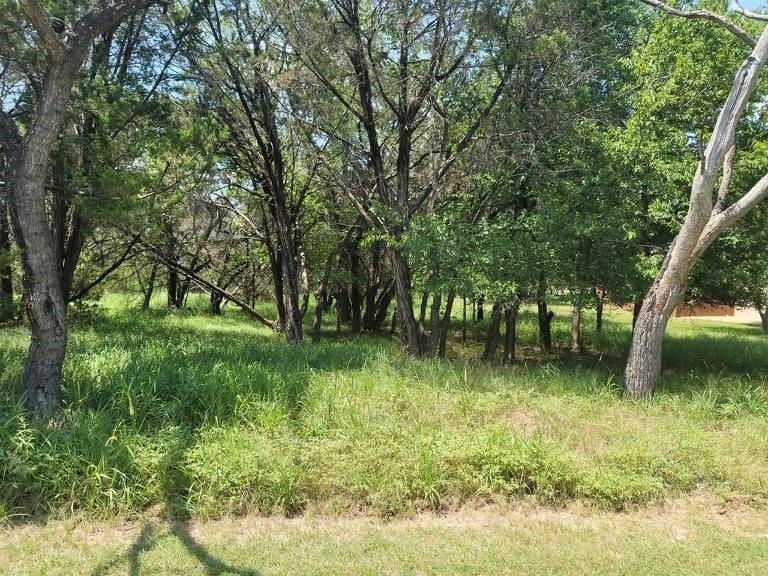 View of local wilderness