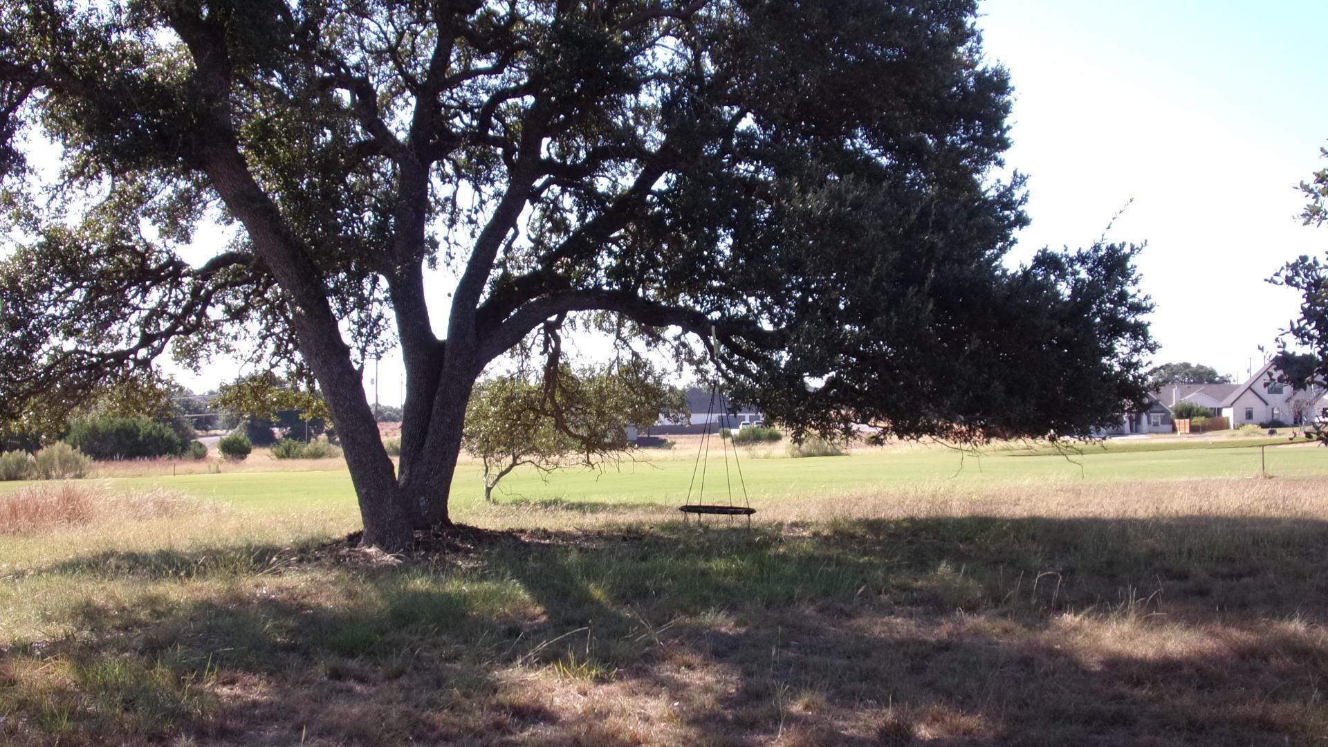 View of grassy yard