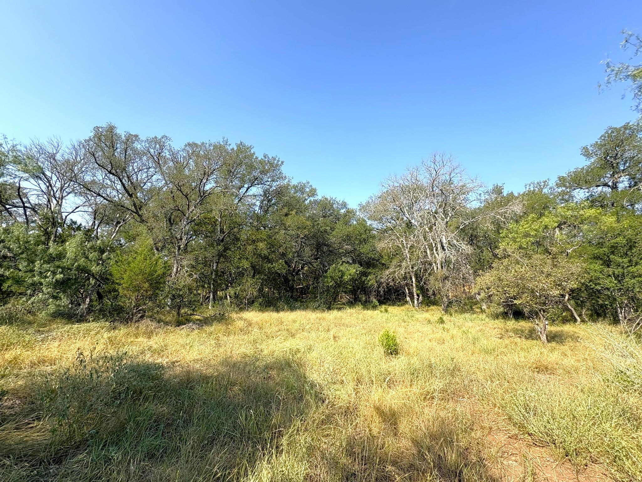 View of local wilderness