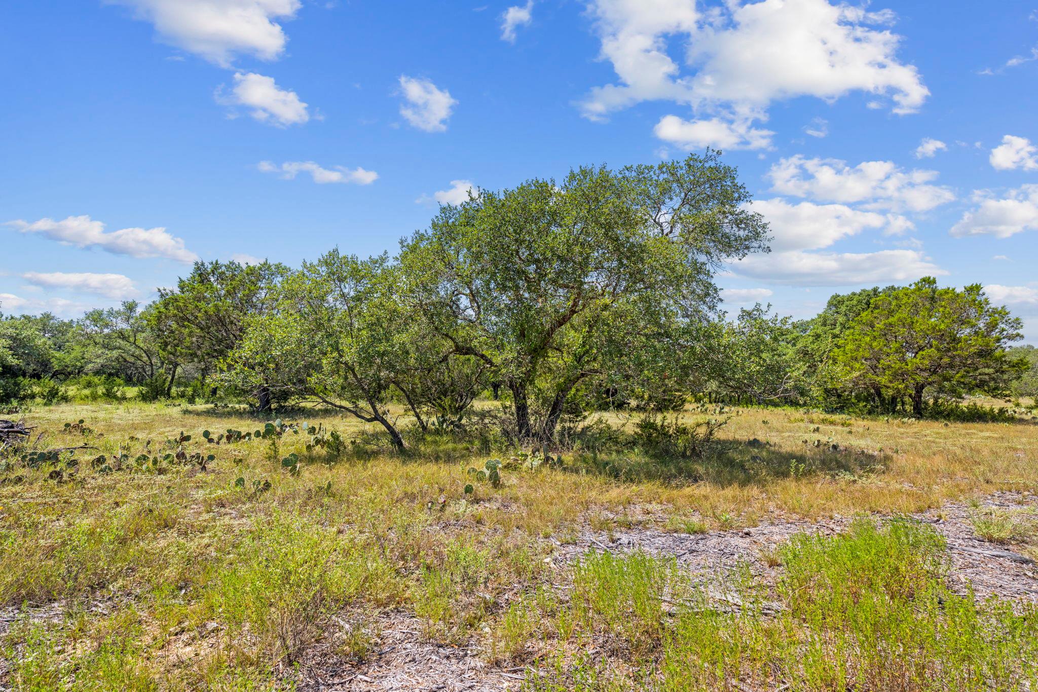 View of local wilderness featuring rural landscape