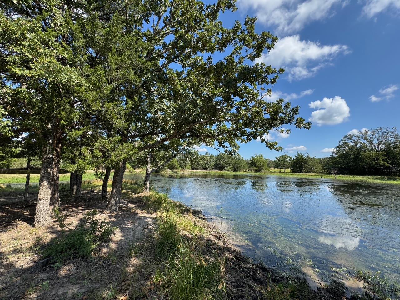 Listing photo 1 of 13115  Schoenemann Rd