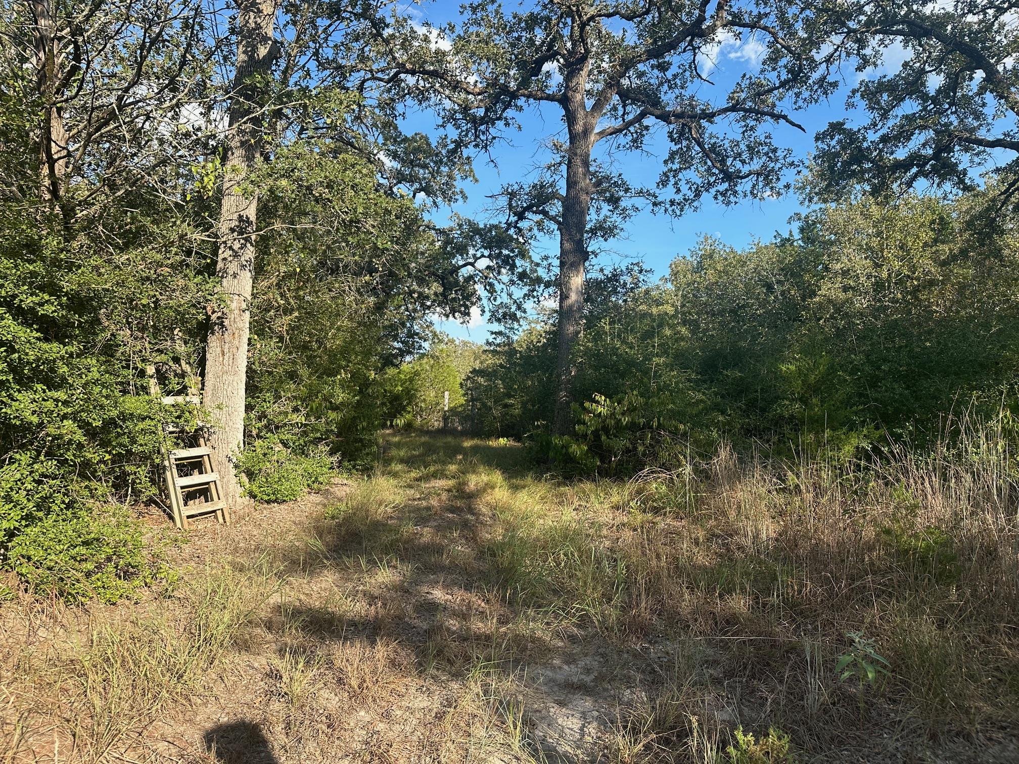 Listing photo 1 of 000  Rook Rd