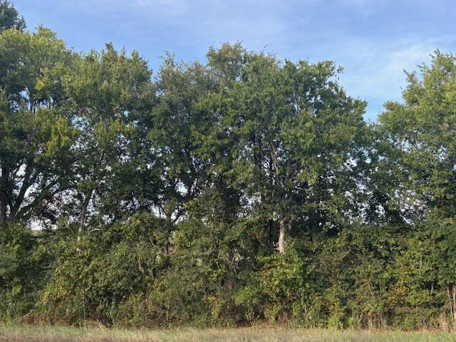 Listing photo 1 of 1447  FM 713 None