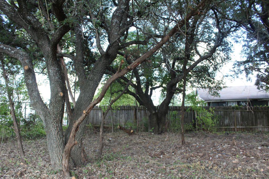 Listing photo 1 of 11502  Bee St