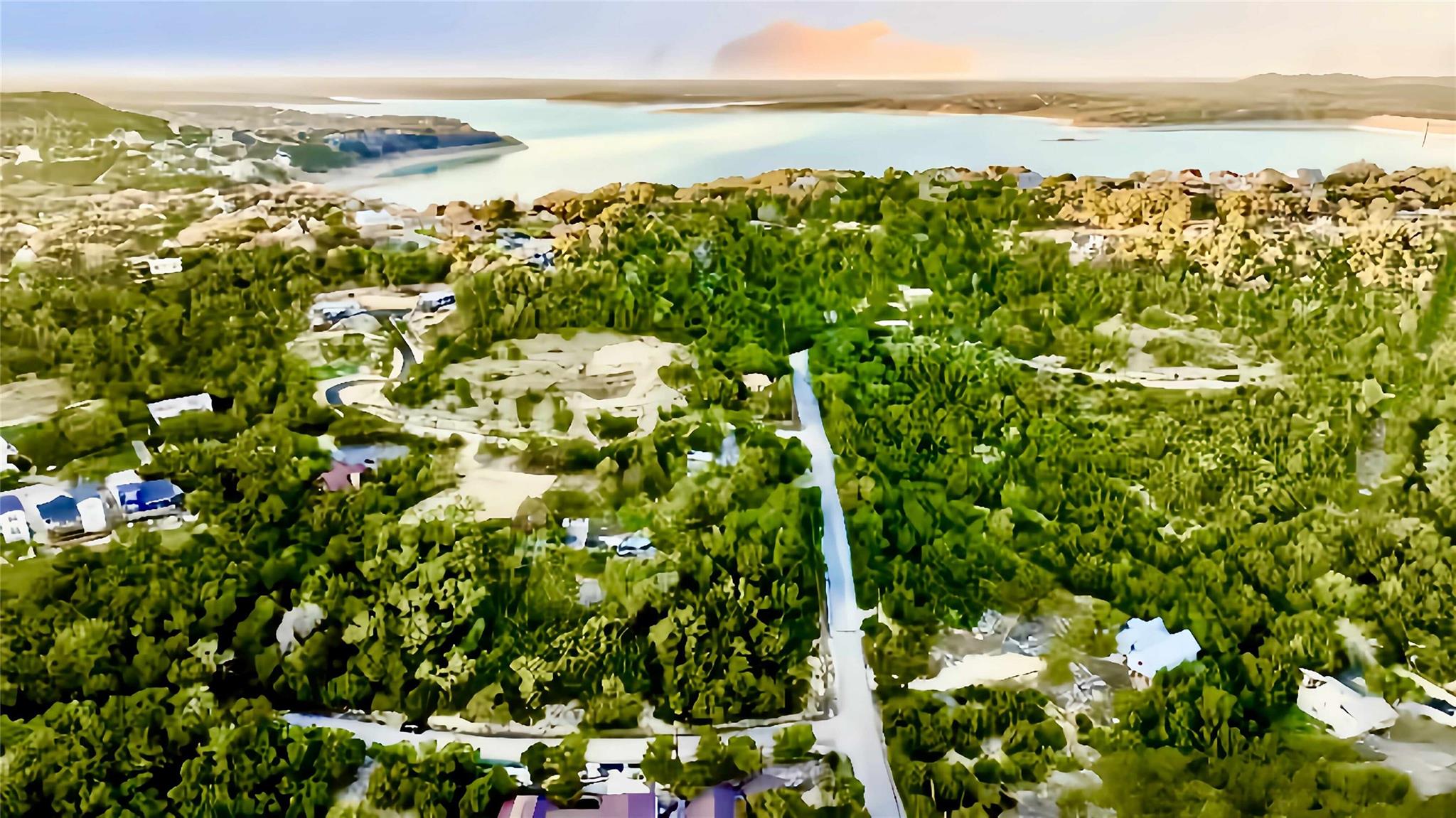 Aerial perspective of suburban area featuring a l
