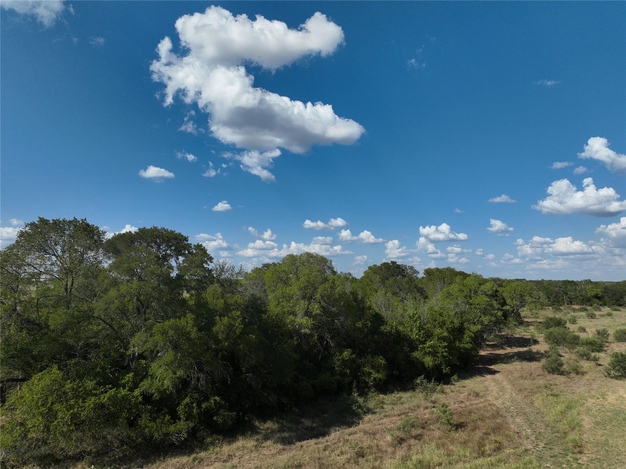 View of woods