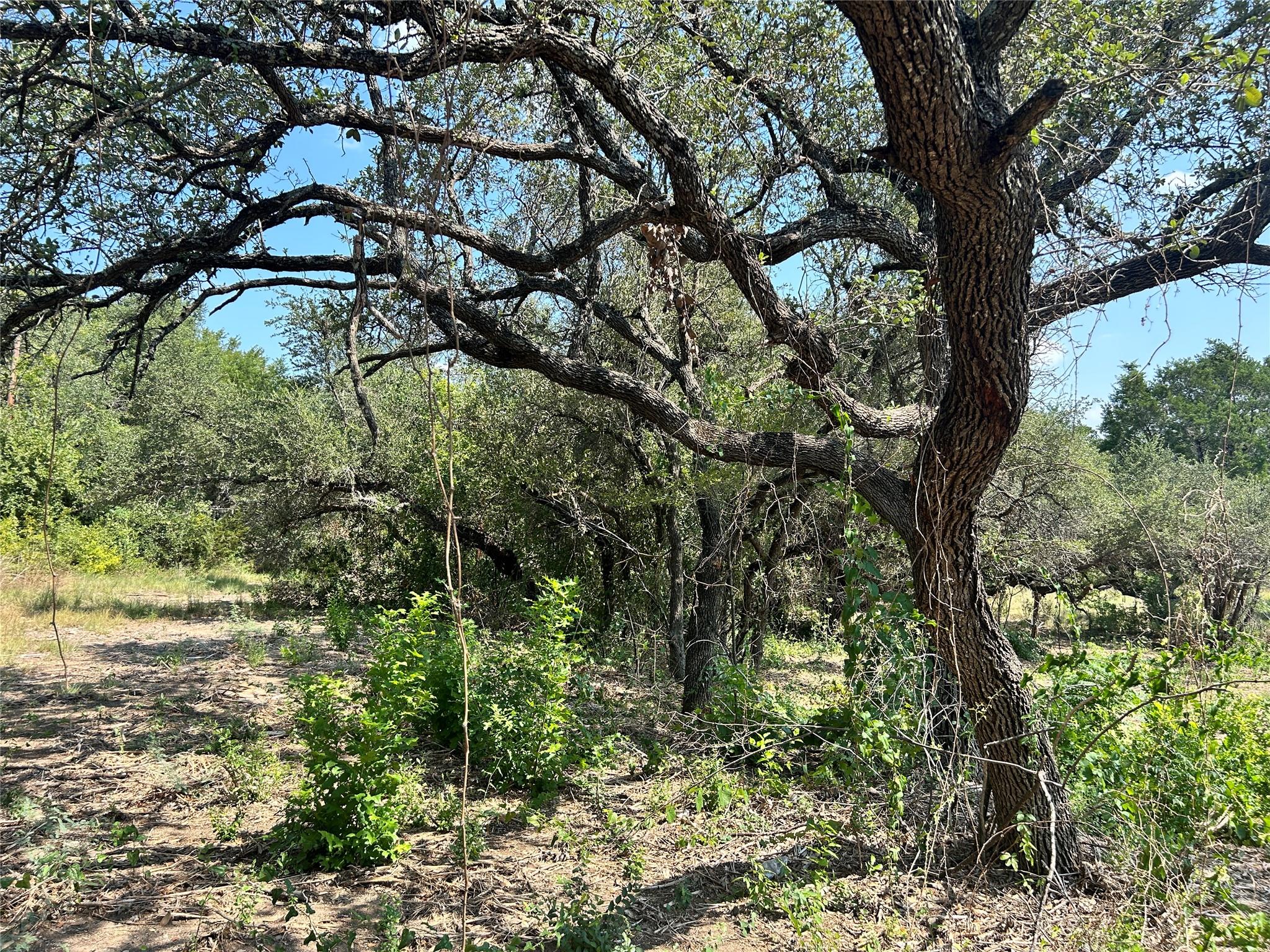 Listing photo 1 of 18310  Austin Dr