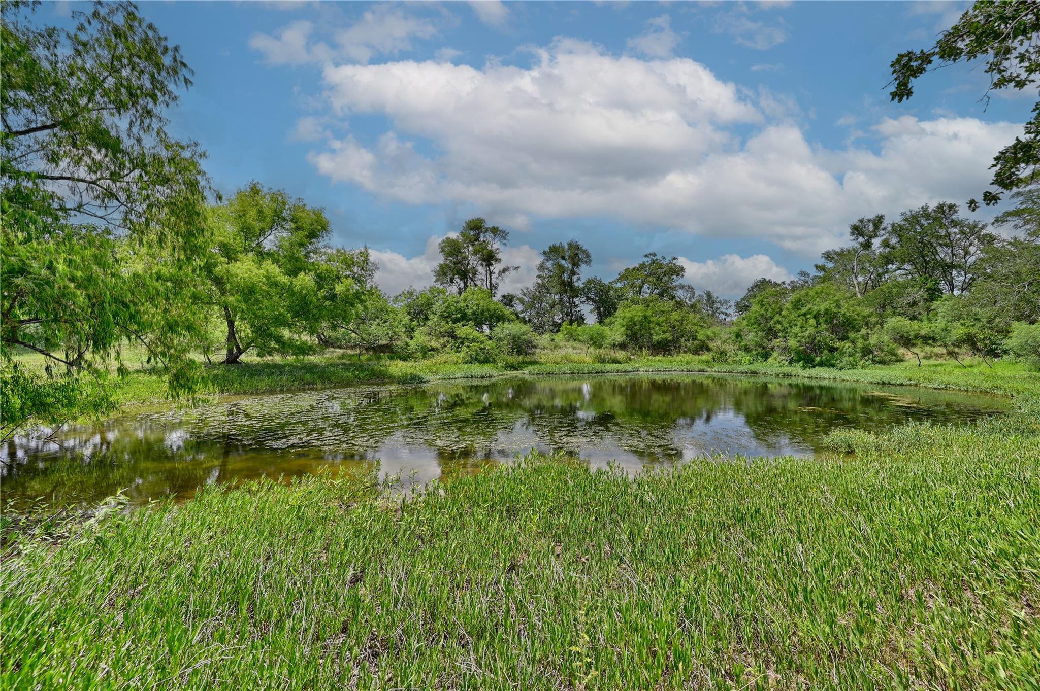 Listing photo 1 of 180  Sunny Day Dr None