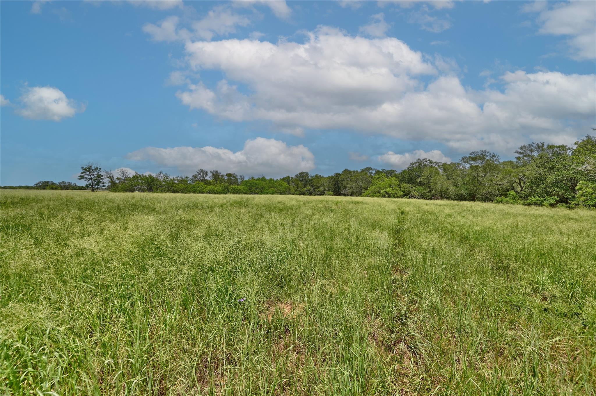 Listing photo 1 of 166  Sunny Day Dr None