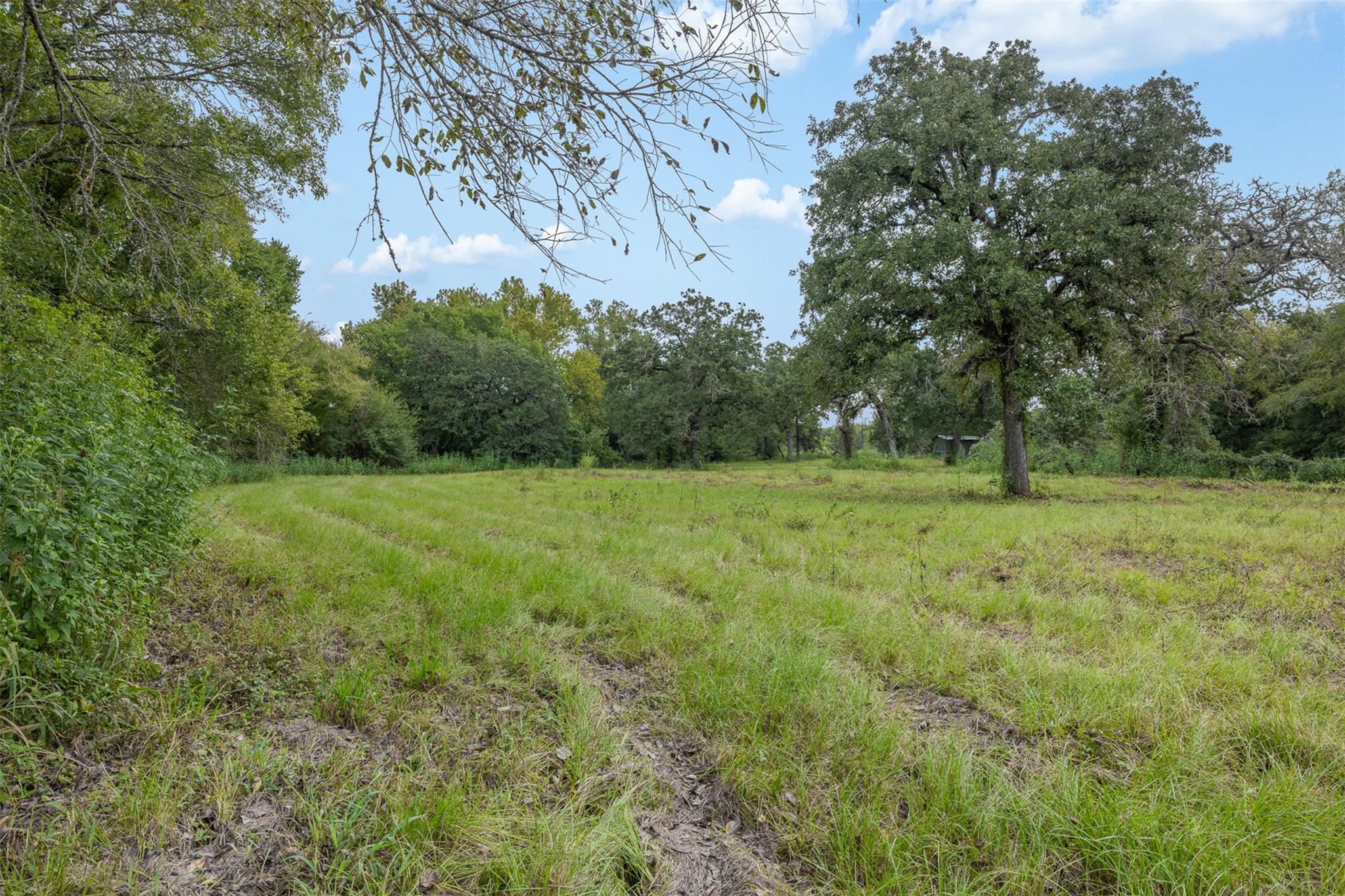 View of undeveloped land featuring rural landscape