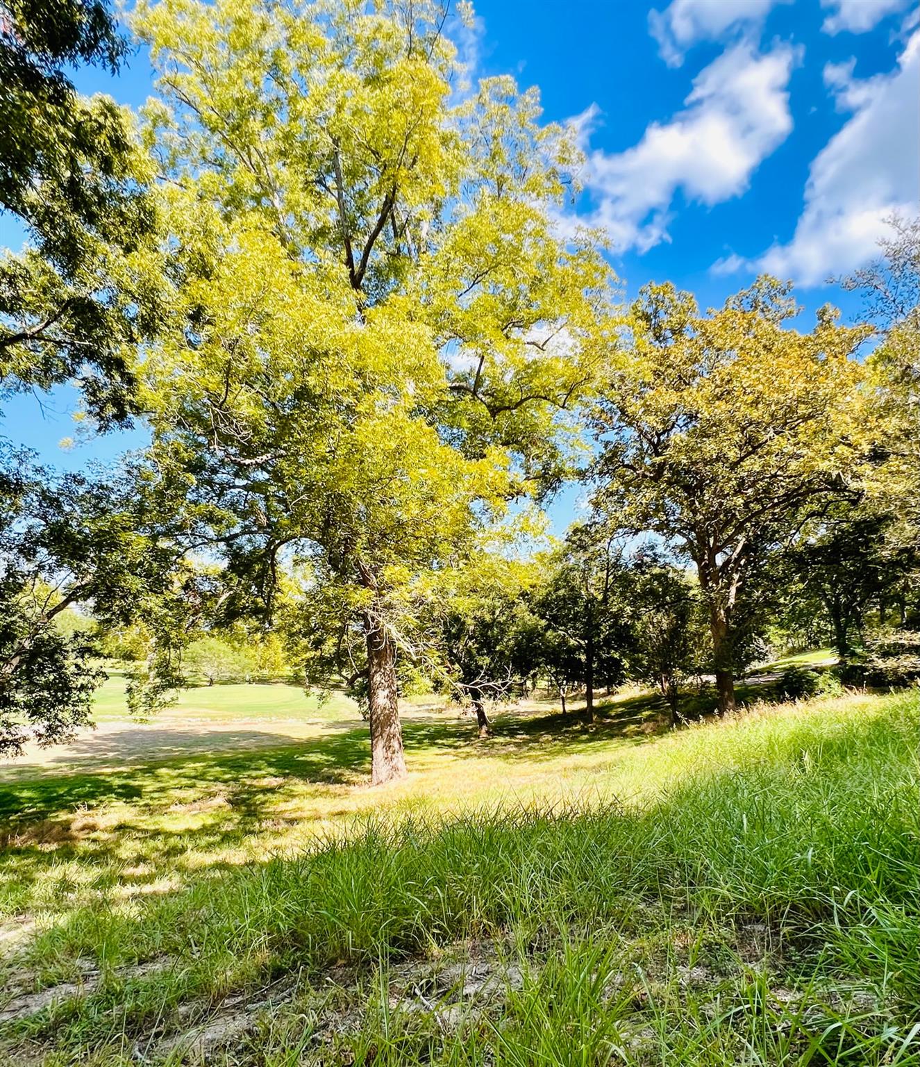View of undeveloped land