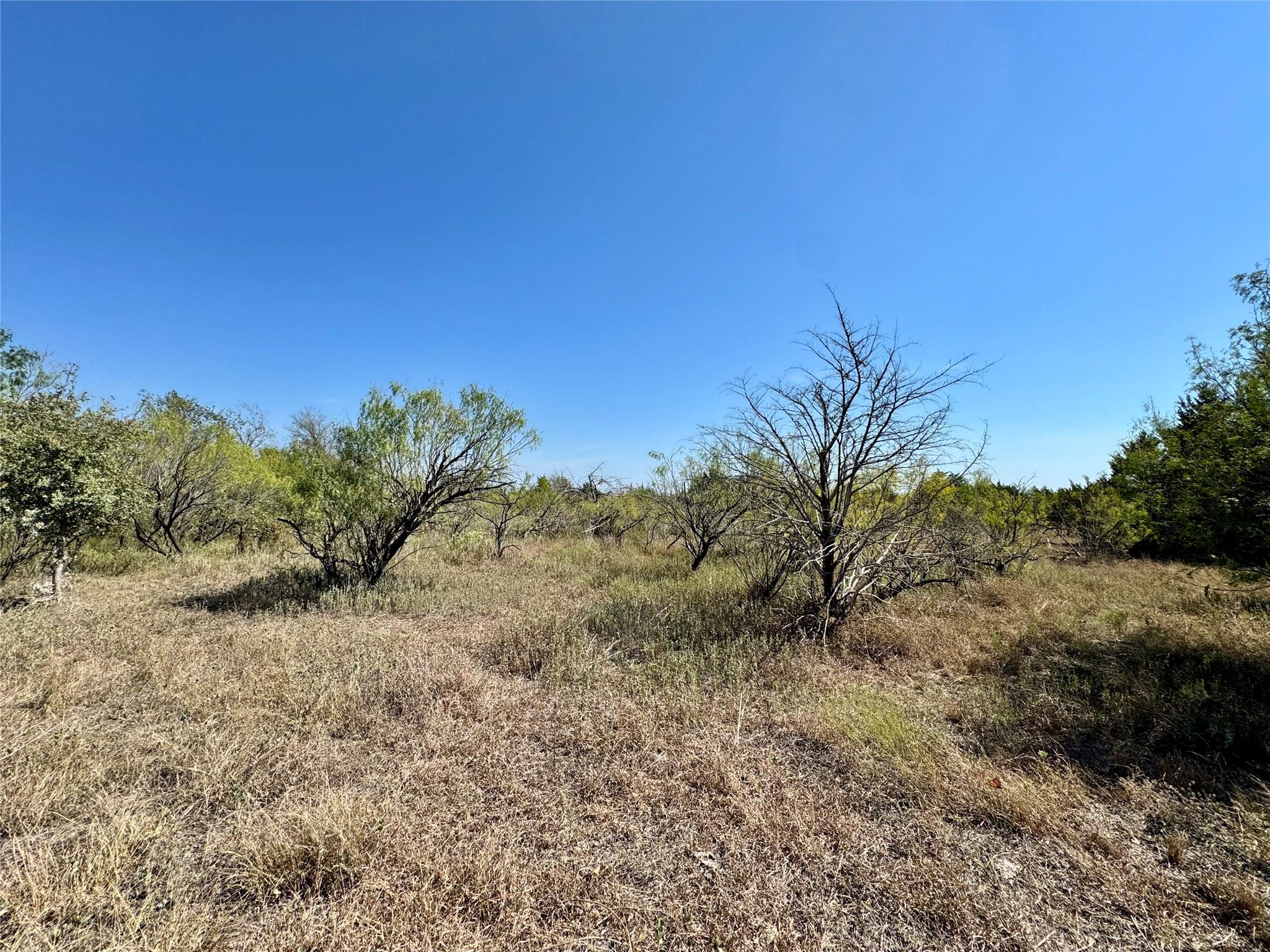 View of local wilderness featuring rural landscape