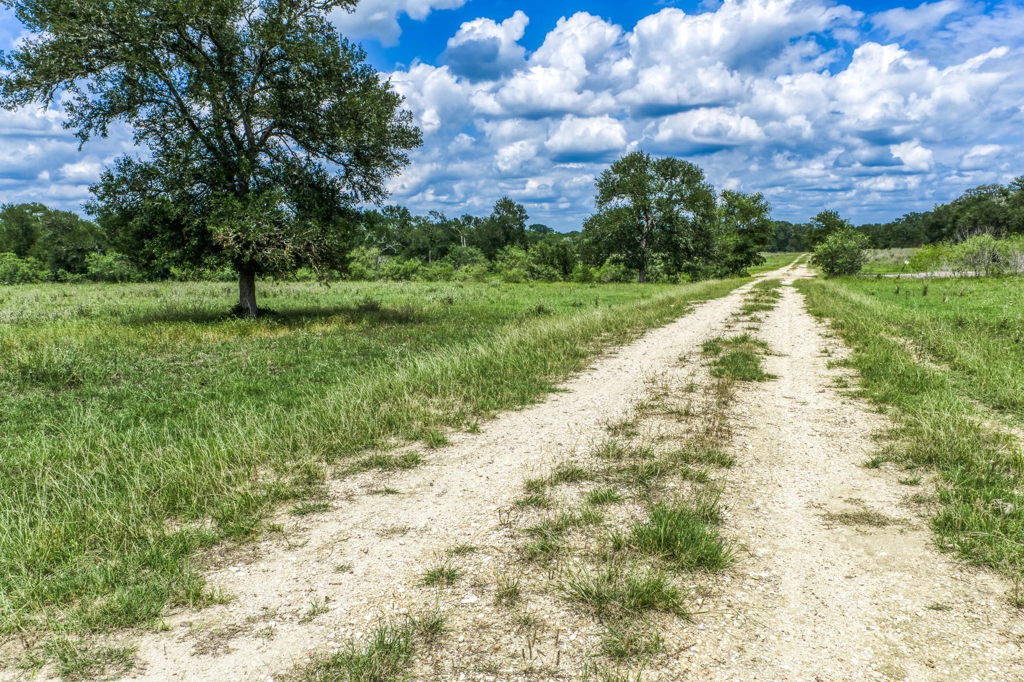 Listing photo 1 of TBD(+/- 237.91 AC)  HWY 36 S None