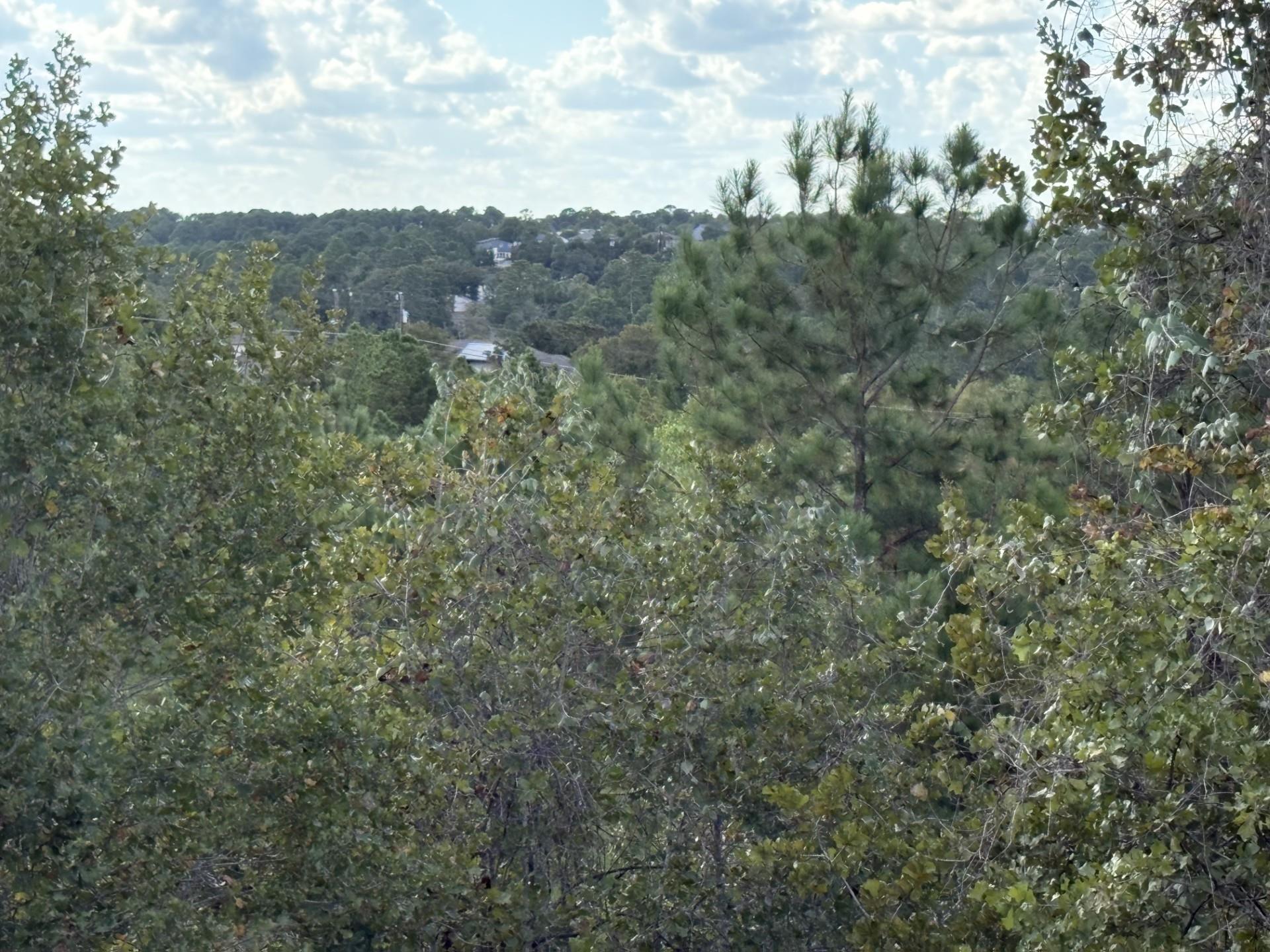 Listing photo 1 of TBD Lot 35  Pinecrest Dr