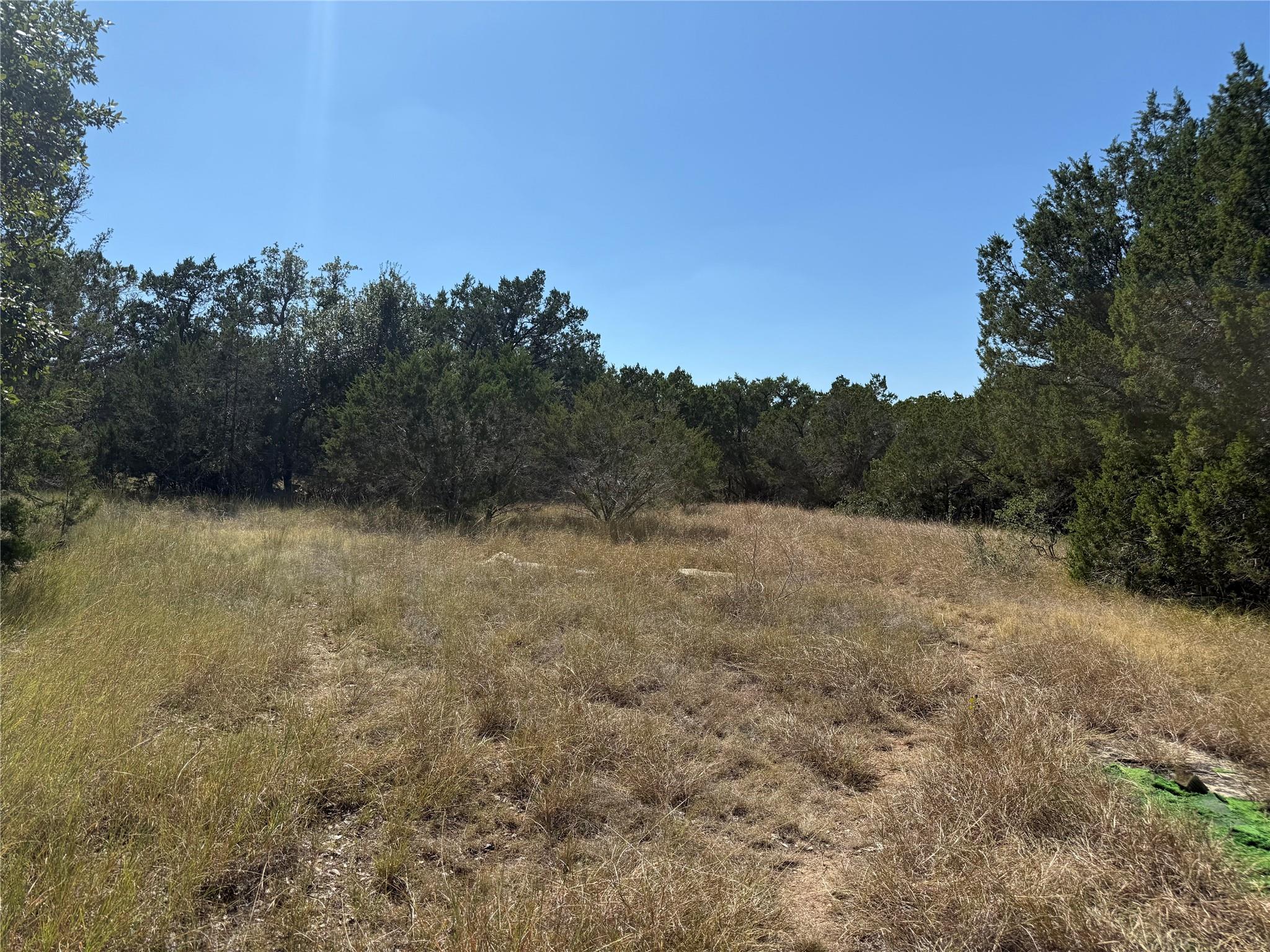 View of wooded area