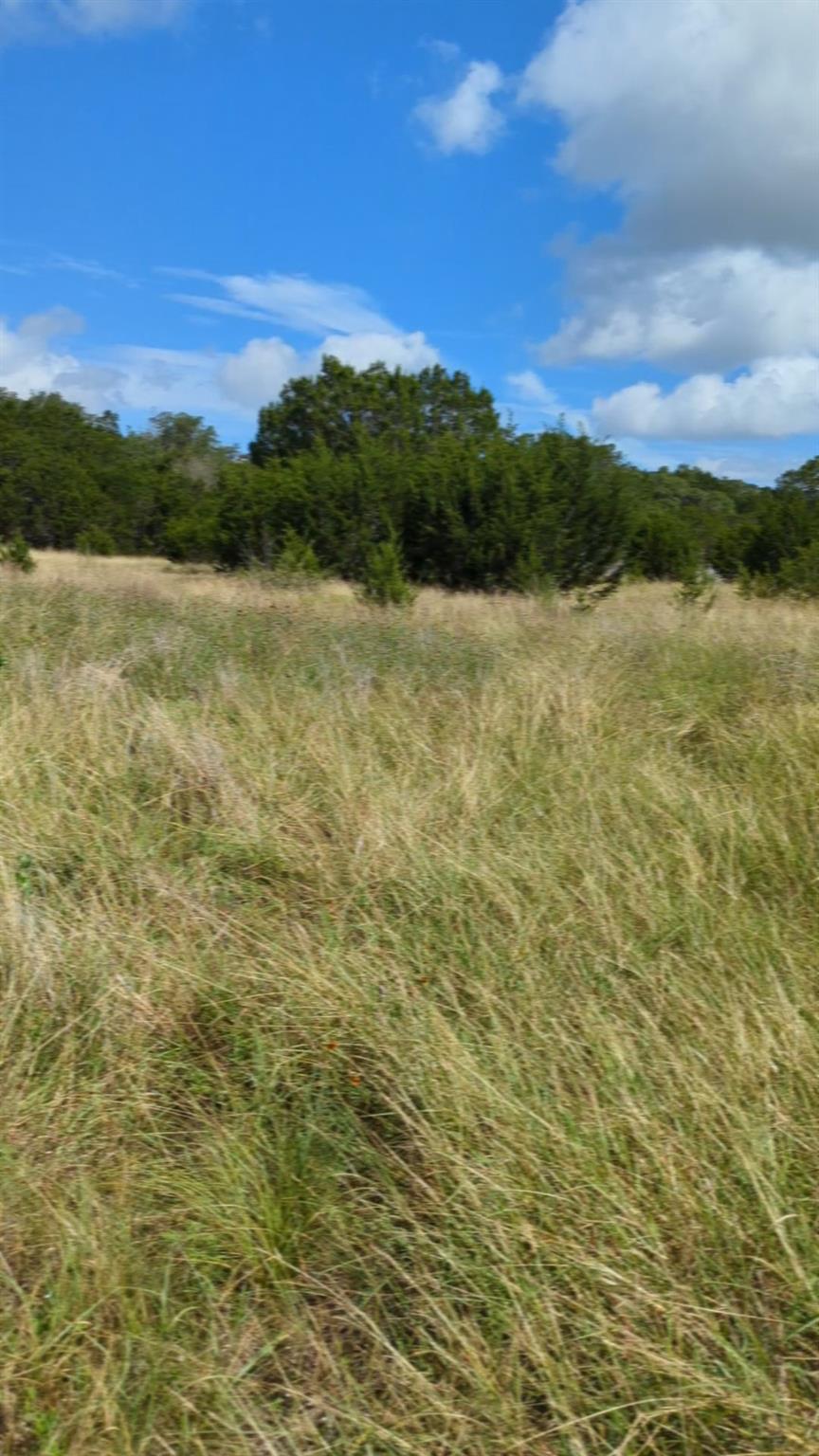 View of undeveloped land featuring rural landscape